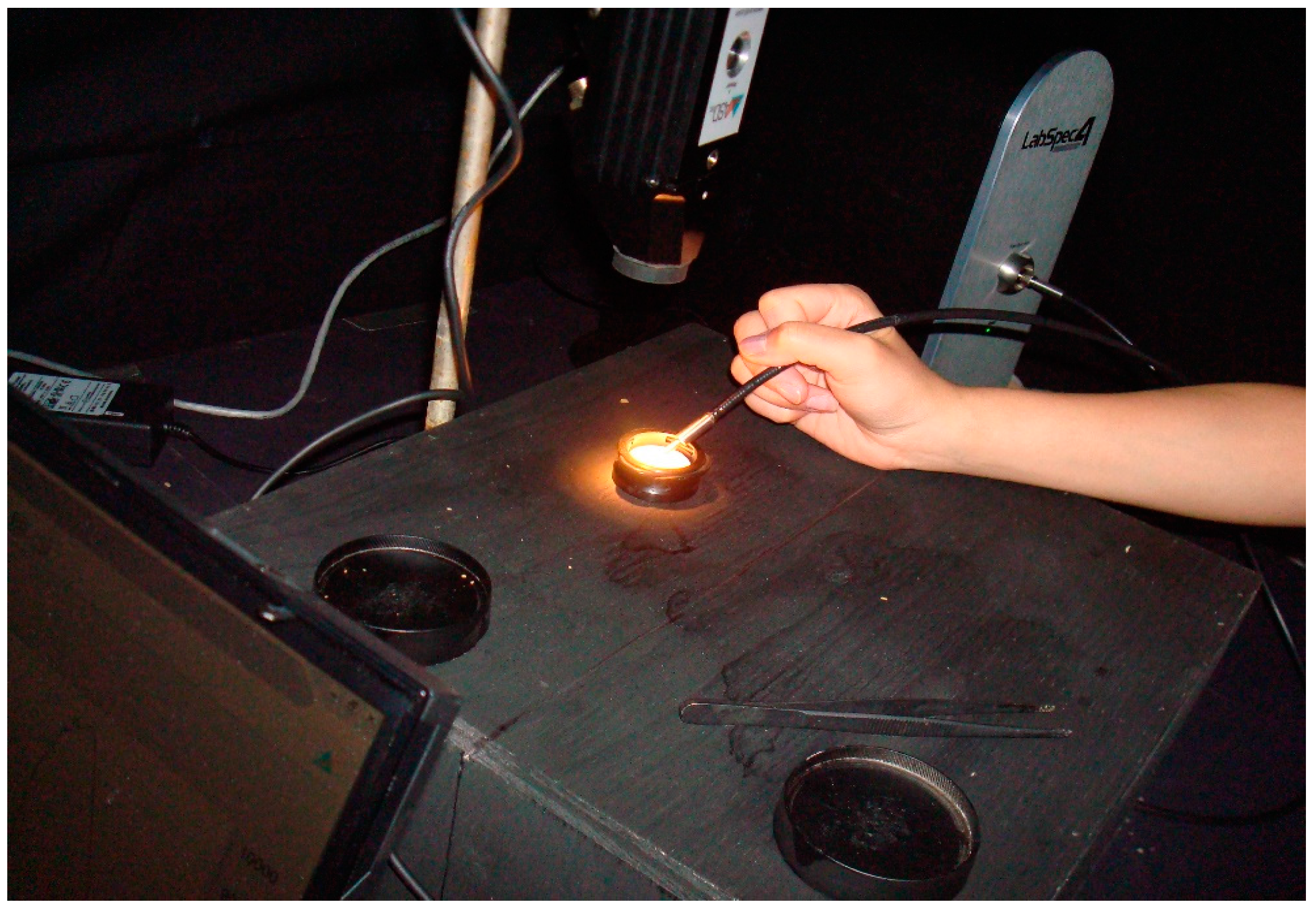 Insects 08 00034 g001