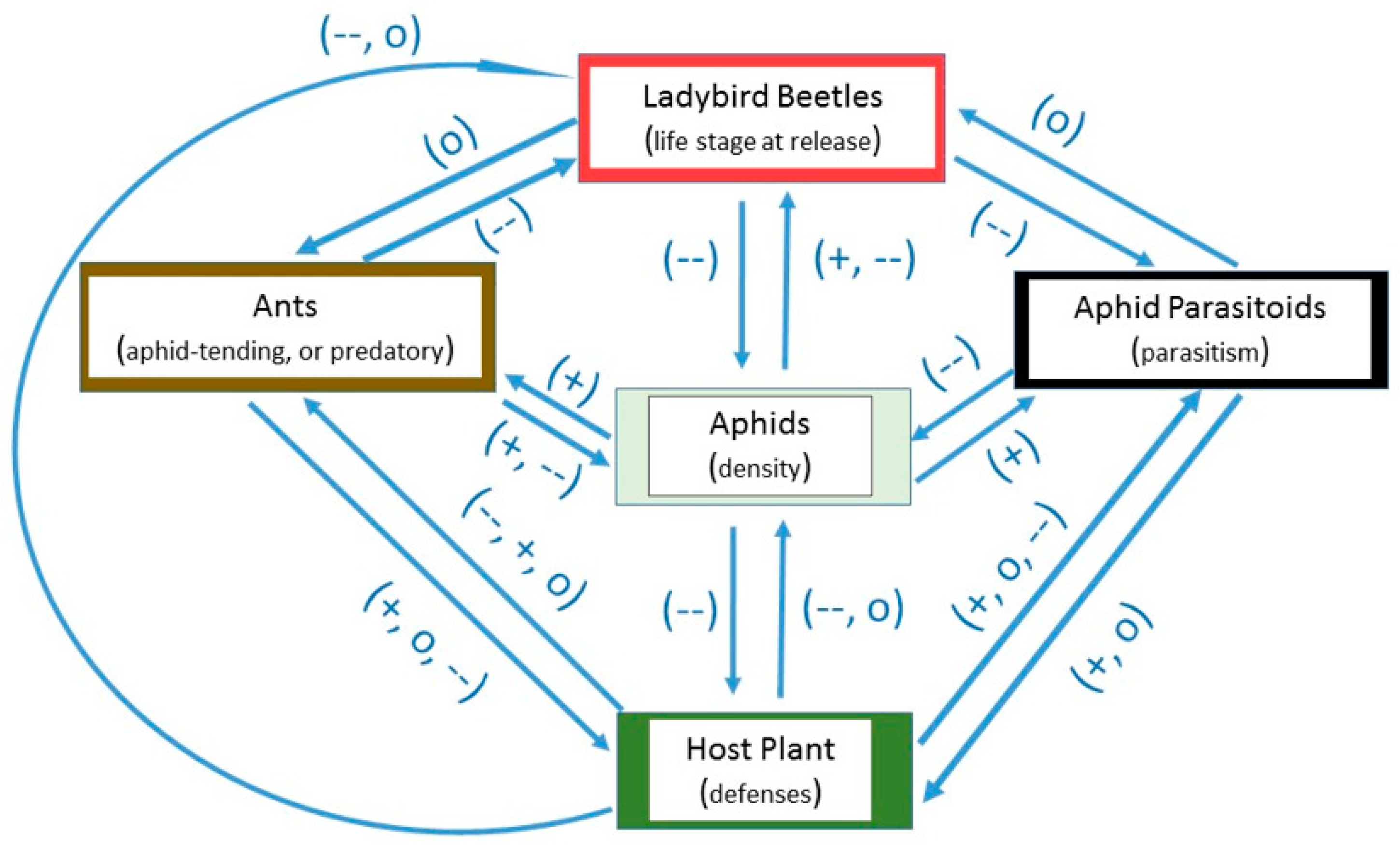 Insects 08 00038 g001