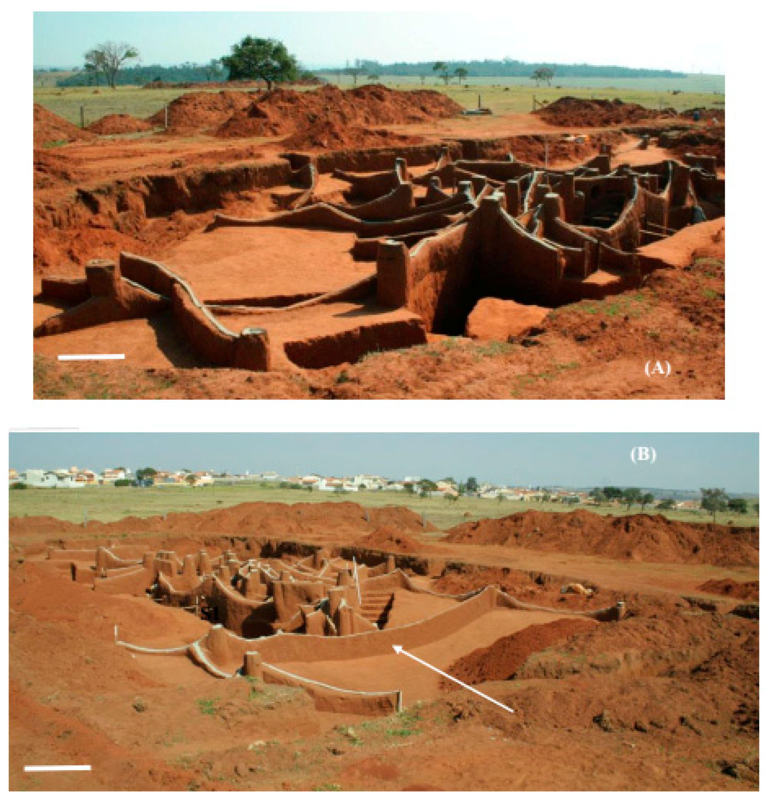 Insects 08 00039 g003