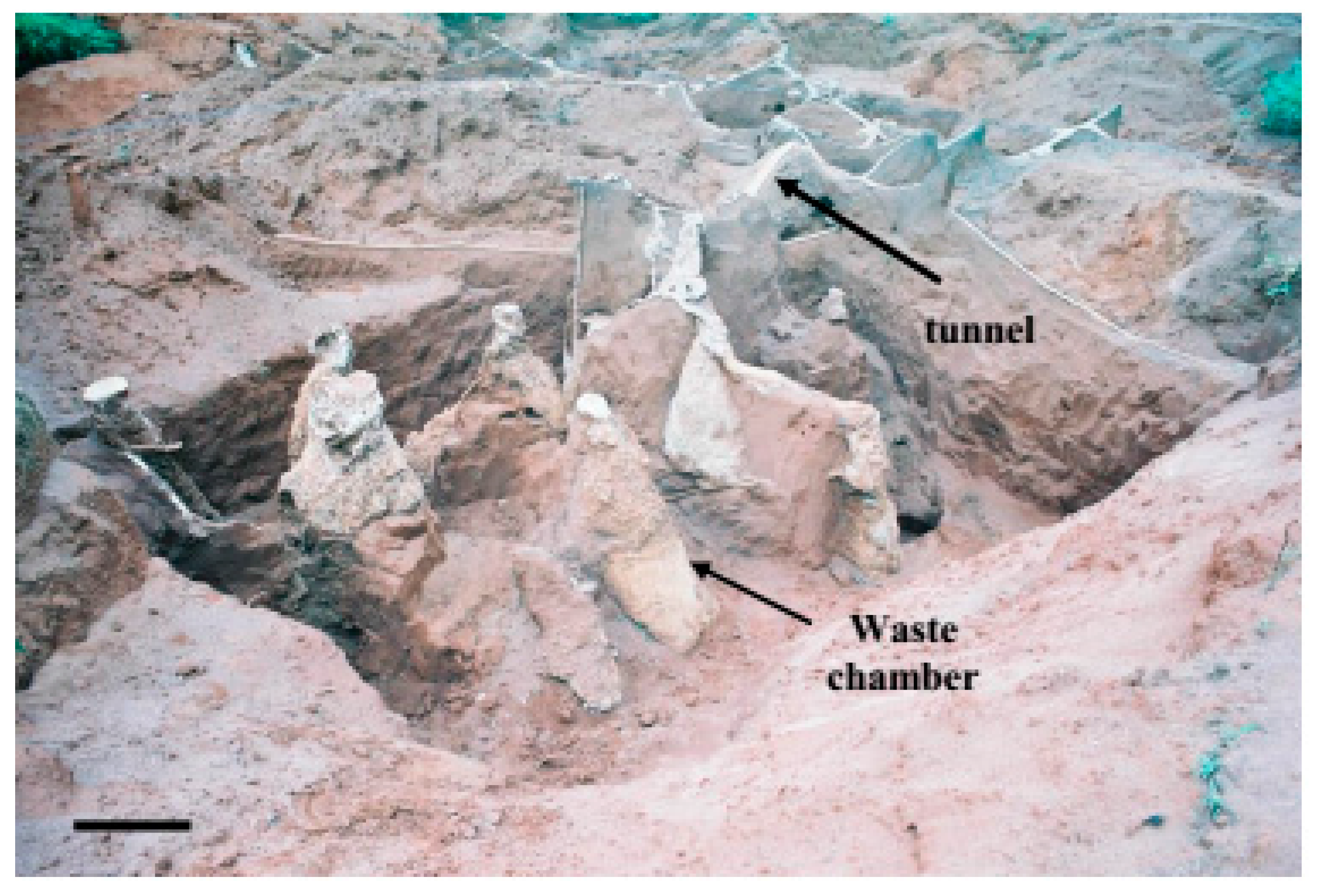 Insects 08 00039 g005