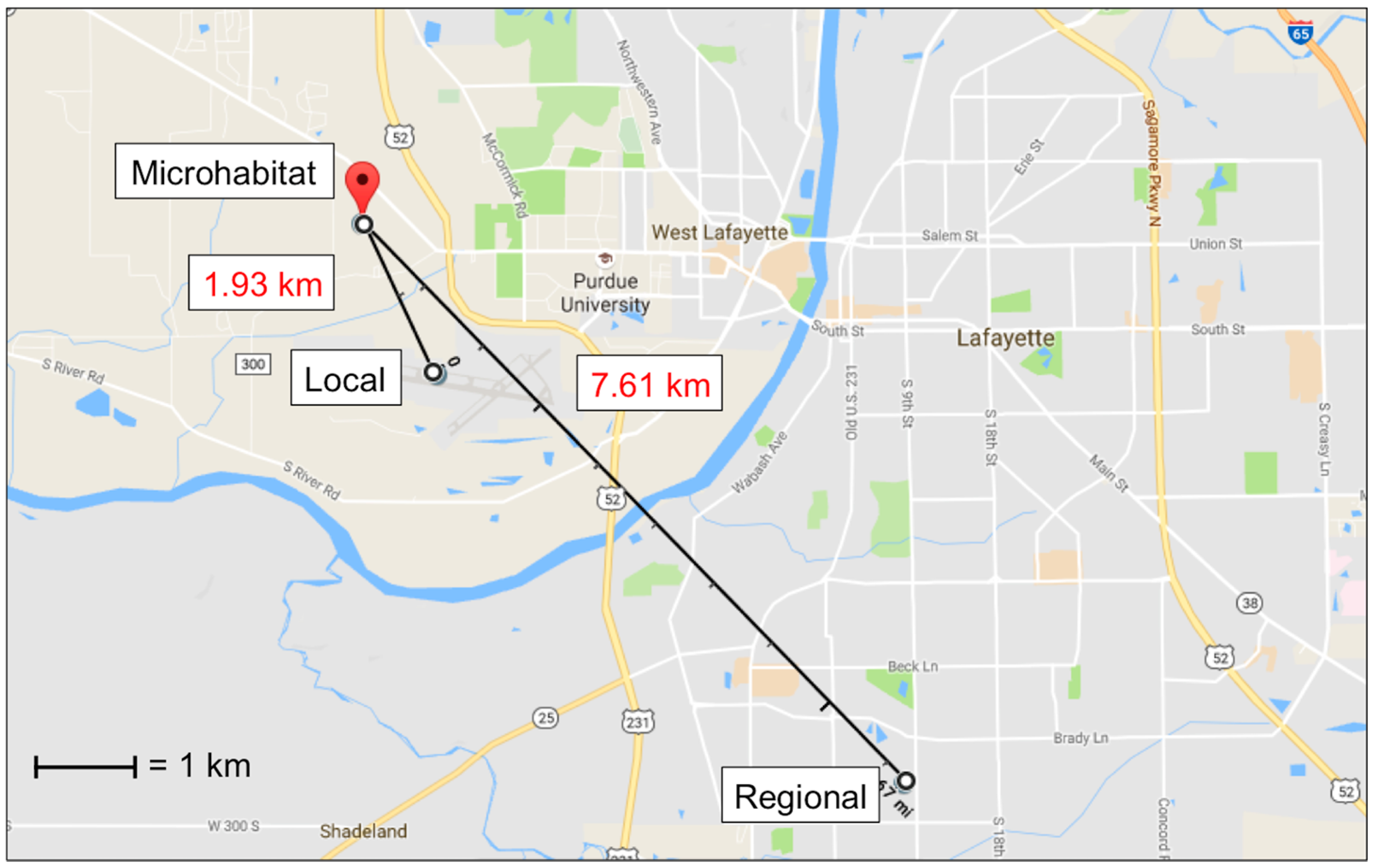 Insects 08 00040 g001