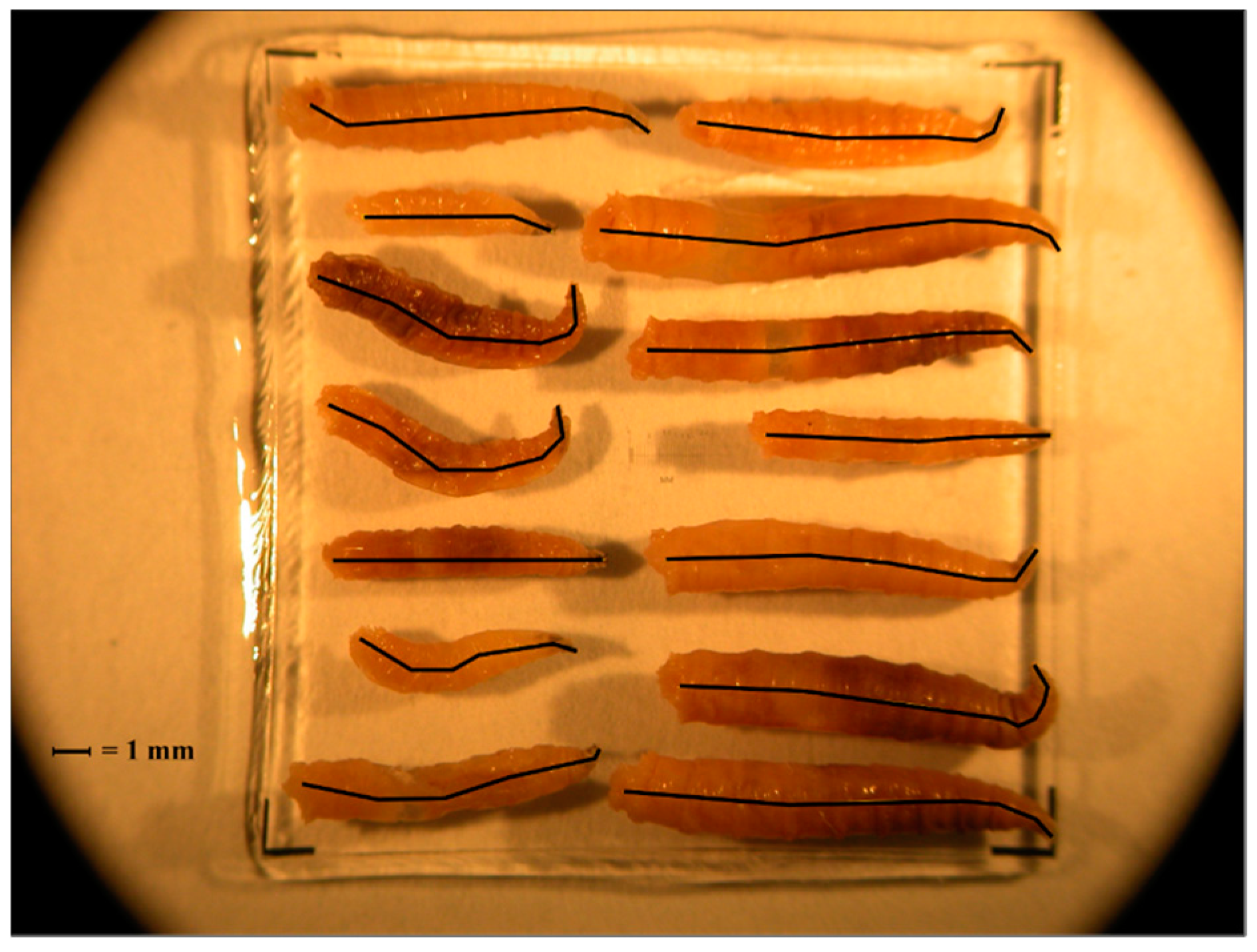 Insects 08 00040 g002