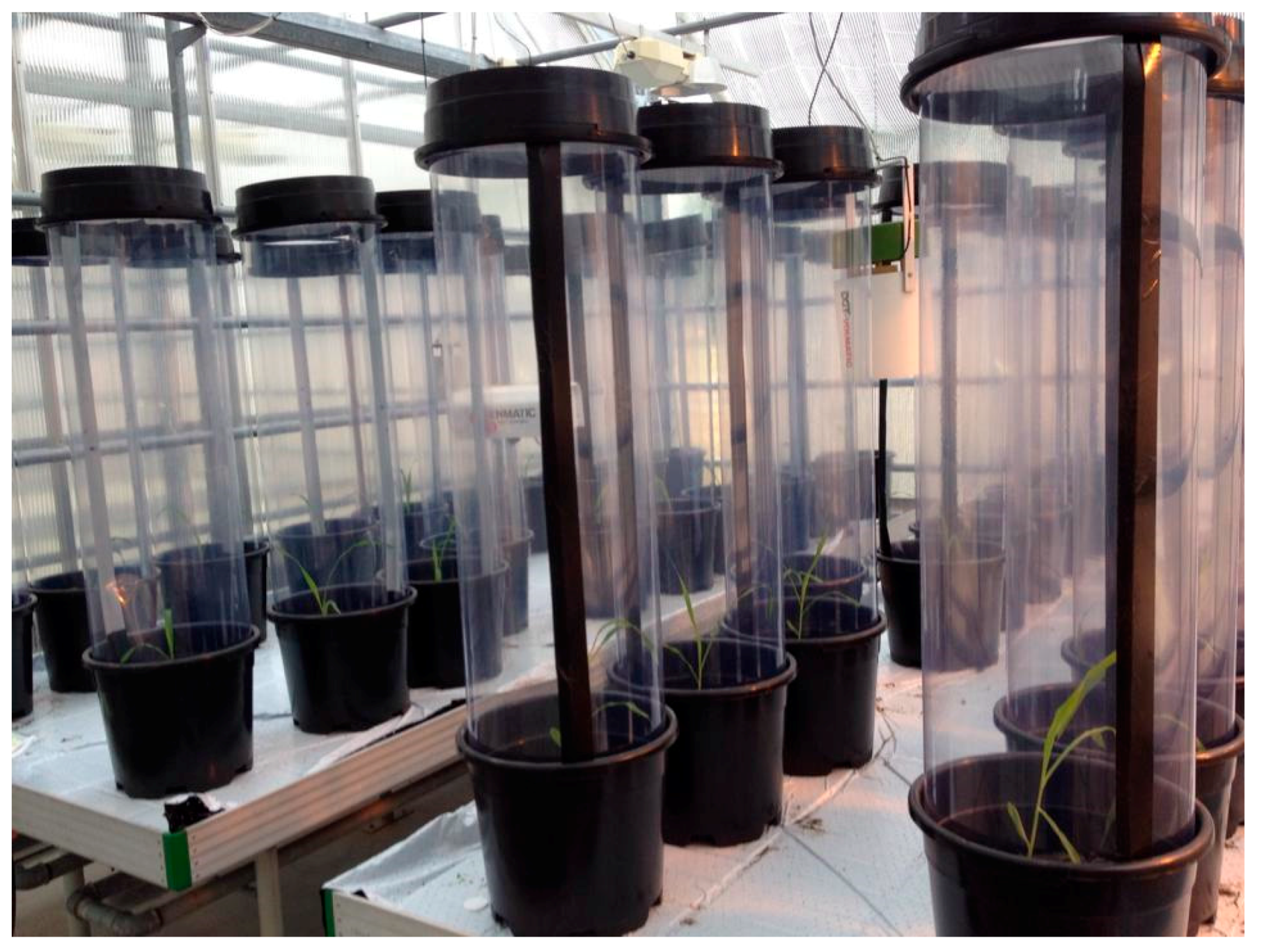 Insects 08 00044 g001