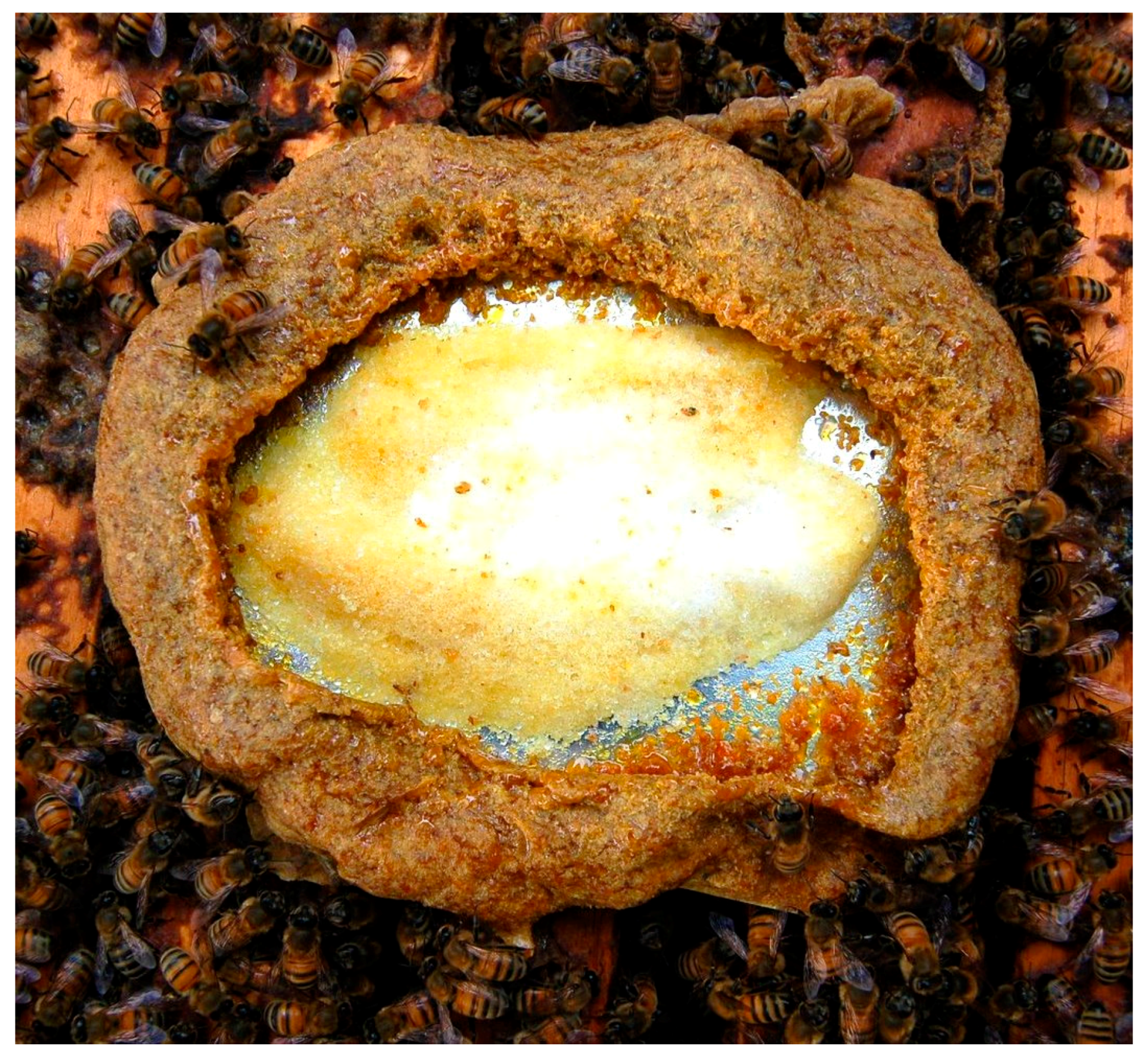 Insects 08 00046 g005