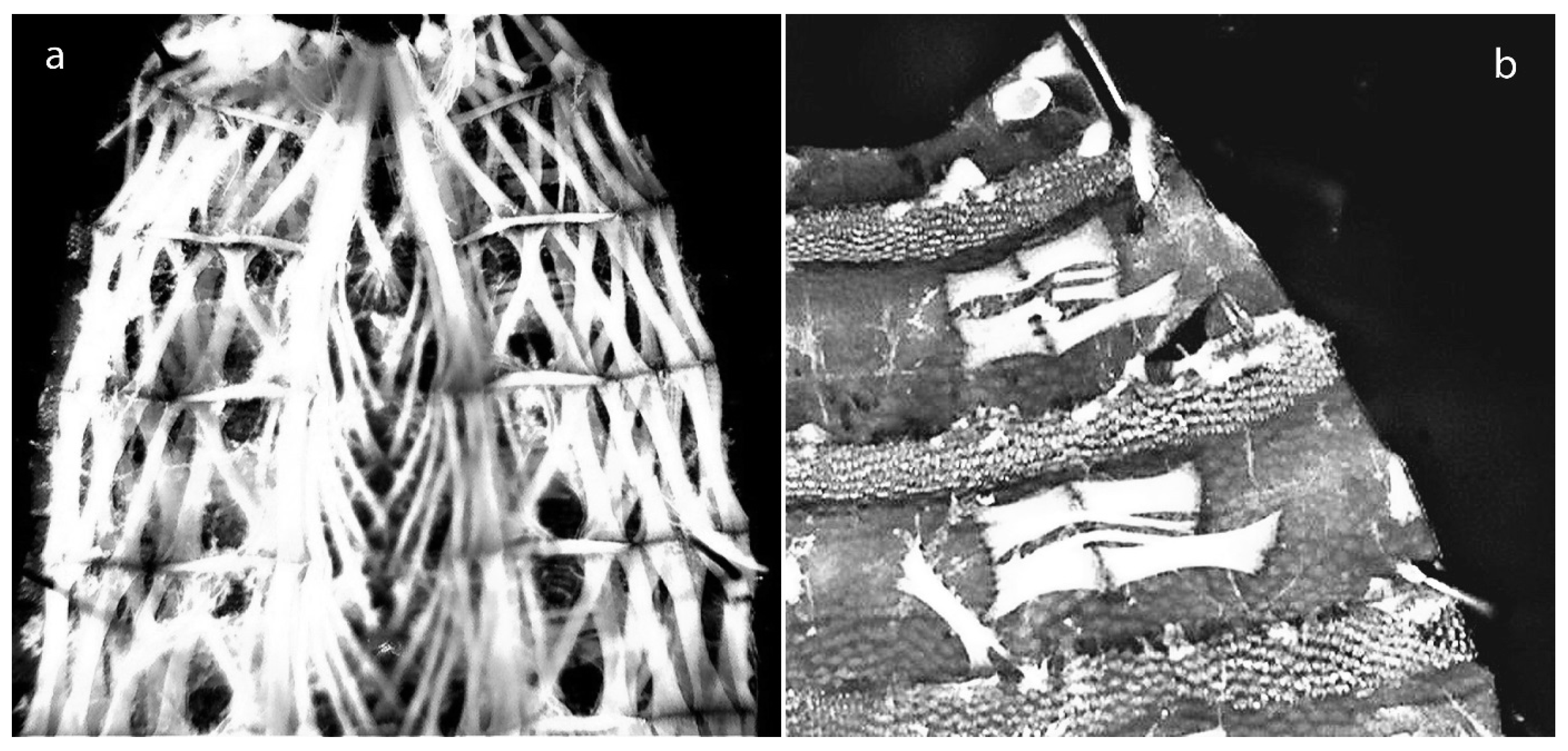 Insects 08 00052 g001