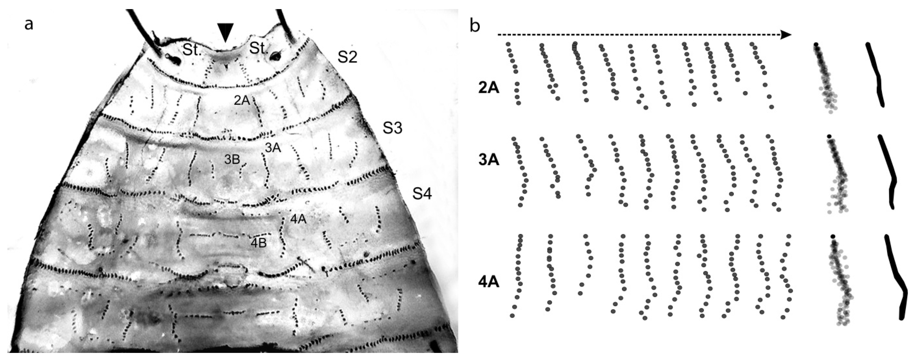 Insects 08 00052 g002