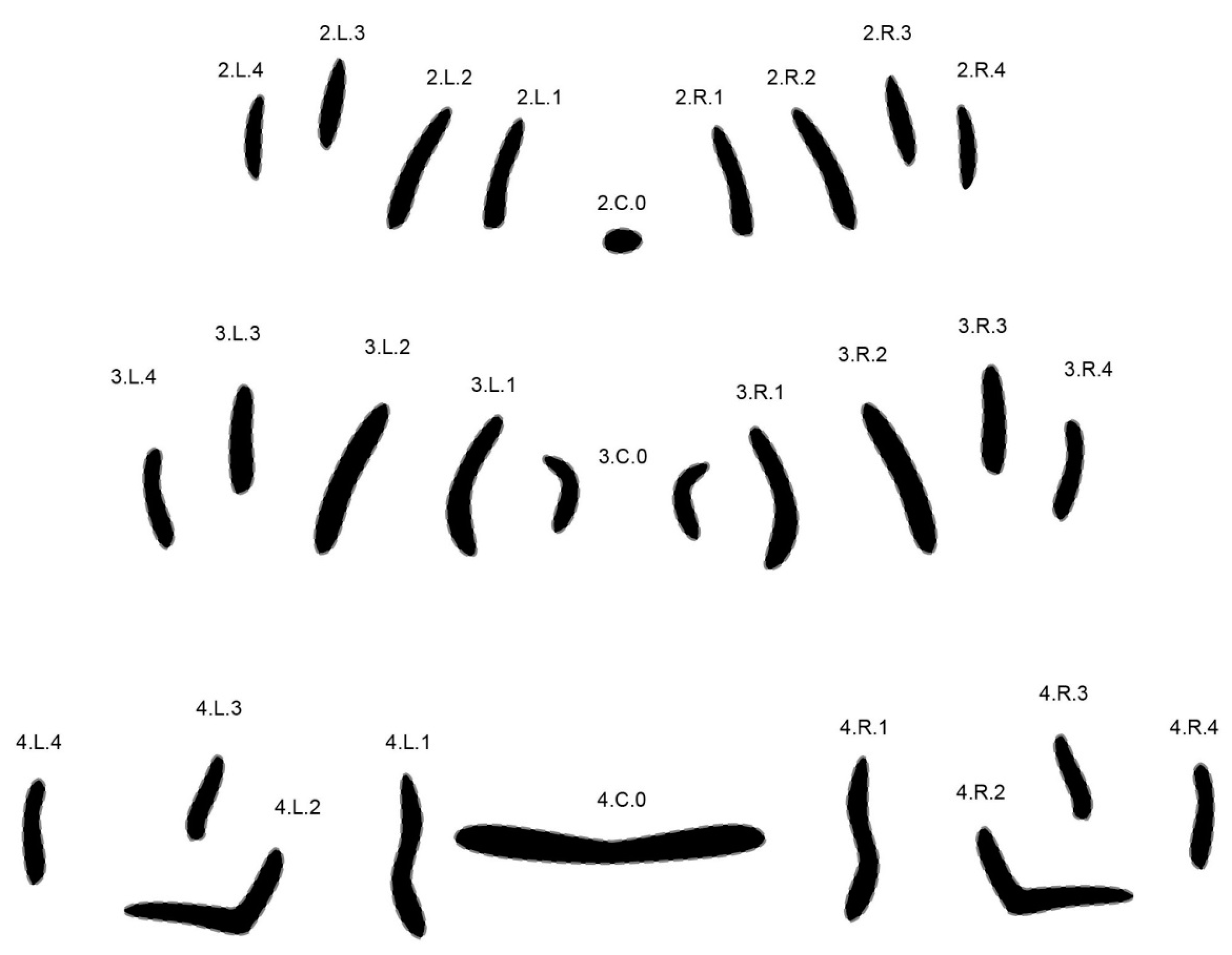 Insects 08 00052 g005