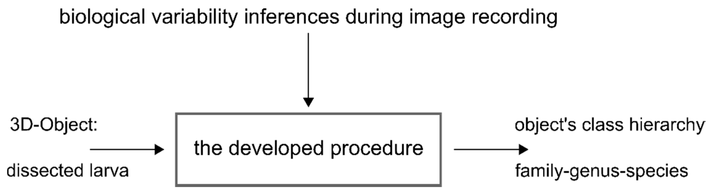 Insects 08 00052 g009