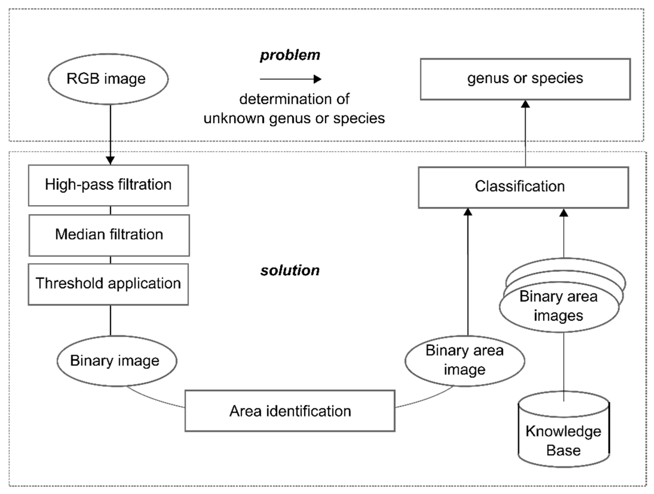 Insects 08 00052 g010
