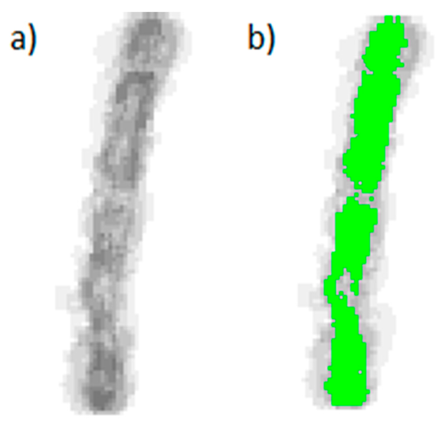 Insects 08 00052 g012