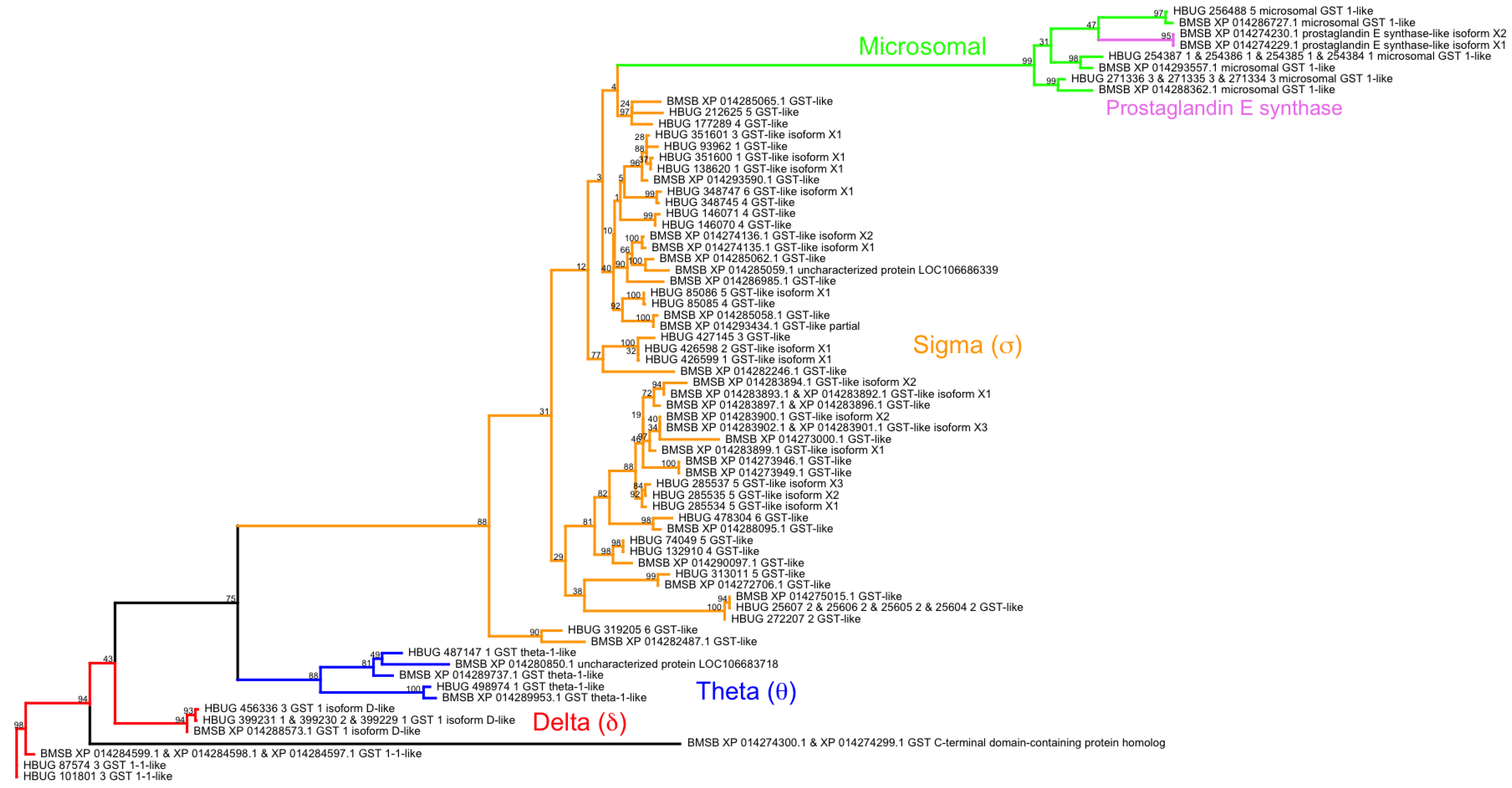 Insects 08 00055 g003