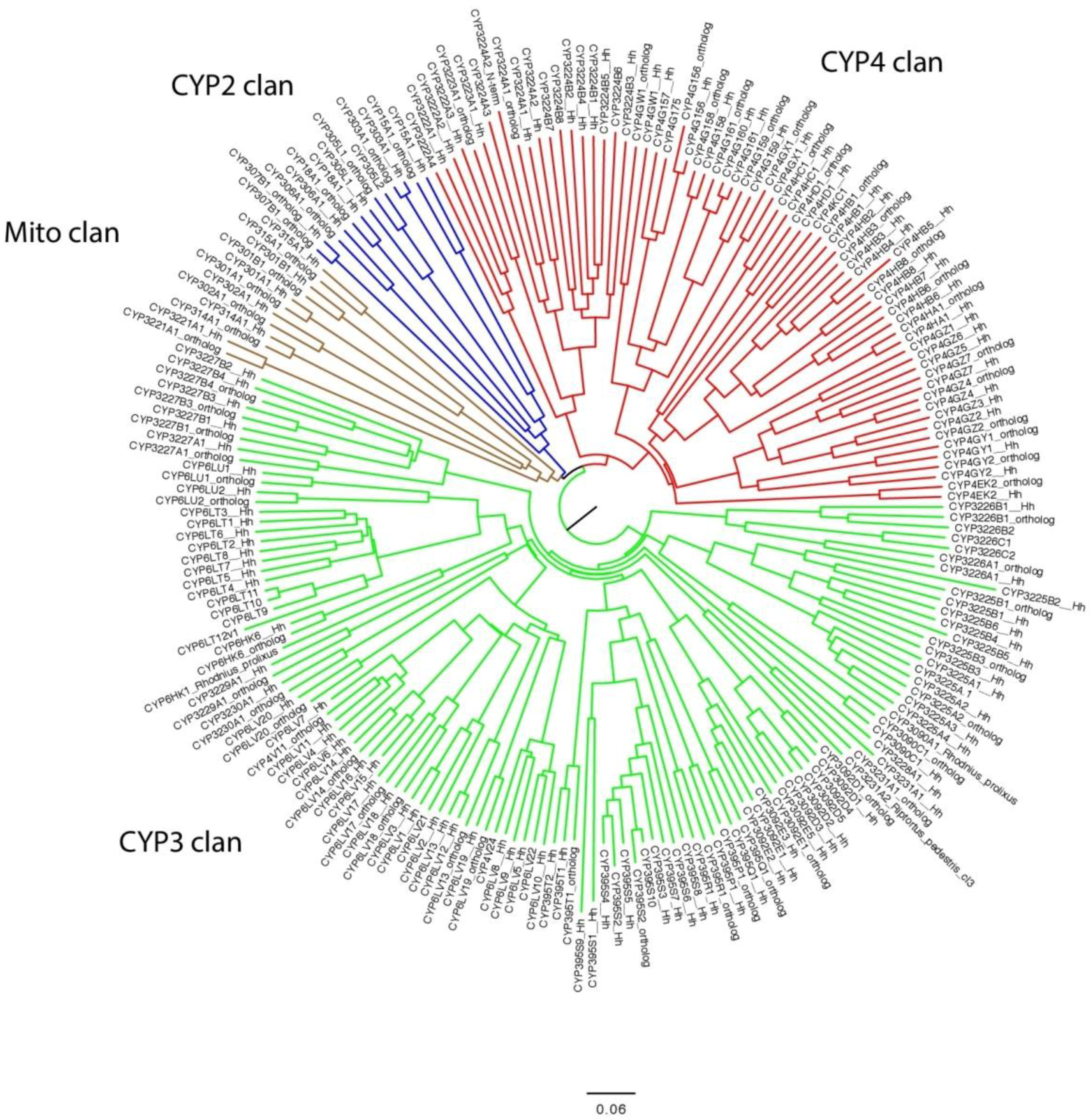 Insects 08 00055 g005