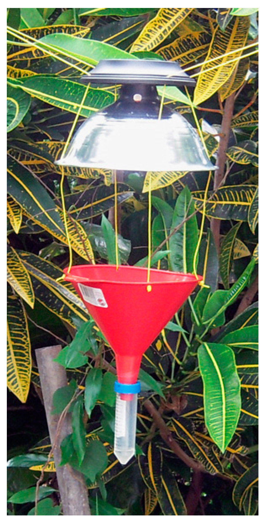 Insects 08 00058 g001