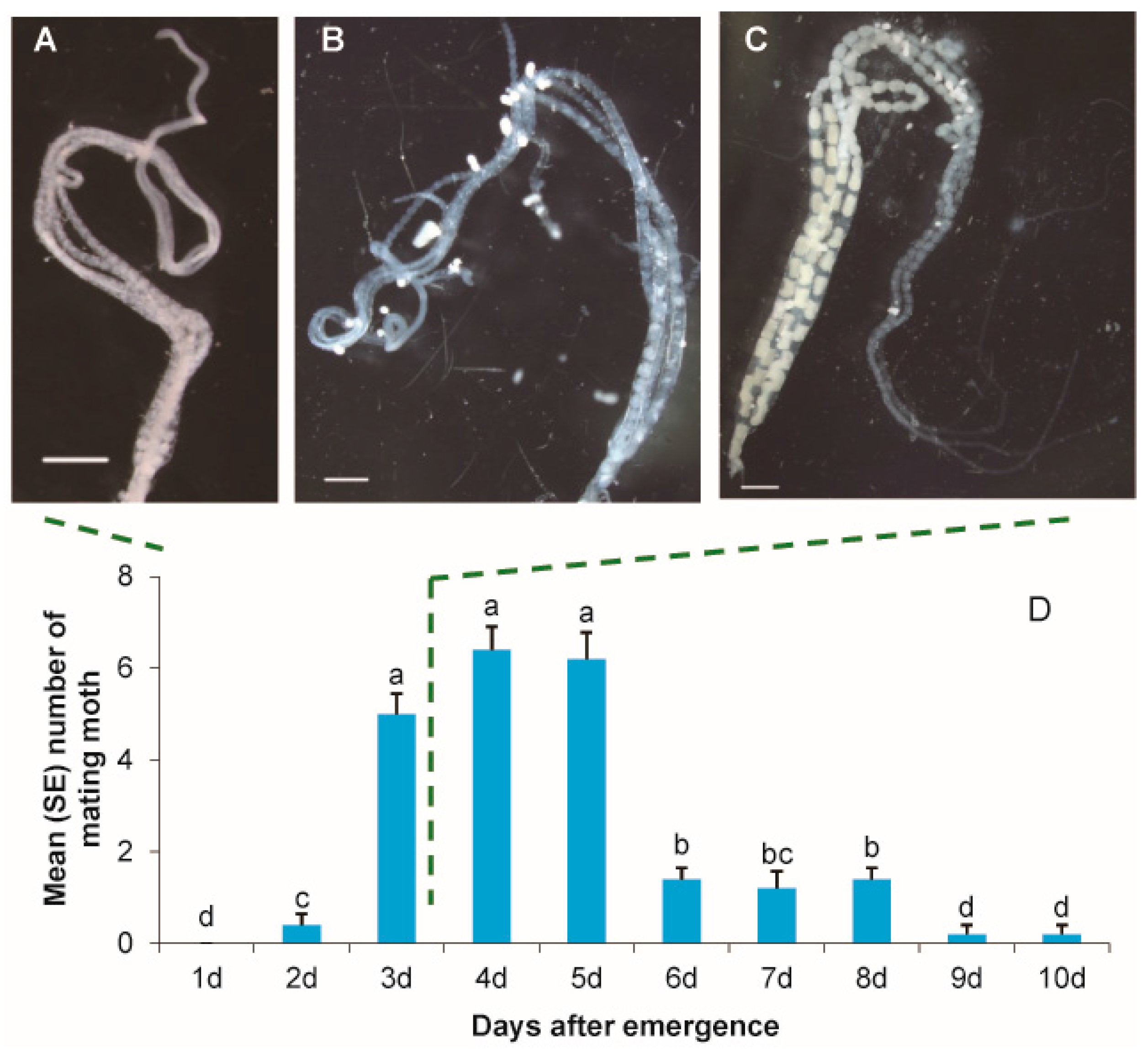Insects 08 00060 g001
