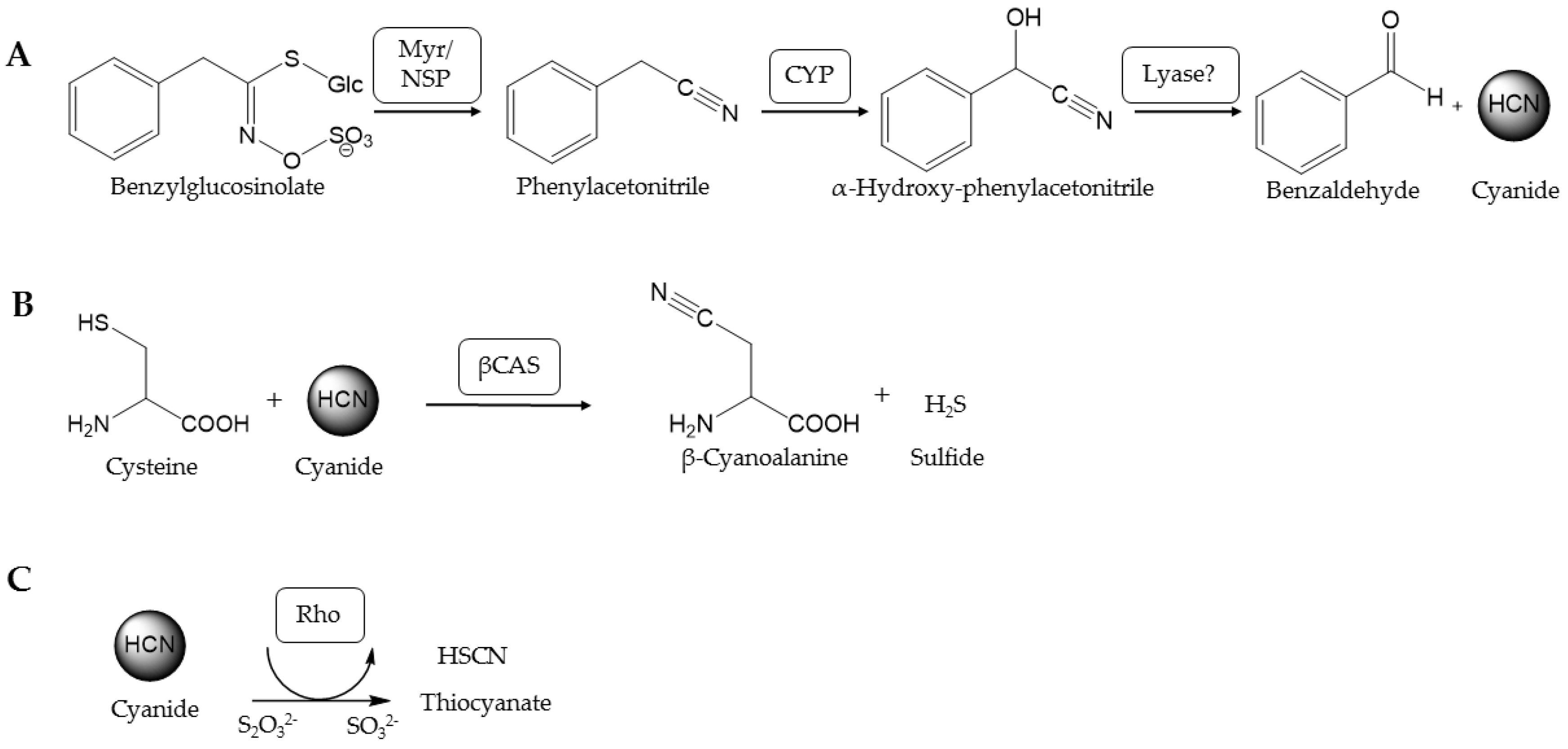 Insects 08 00062 g001