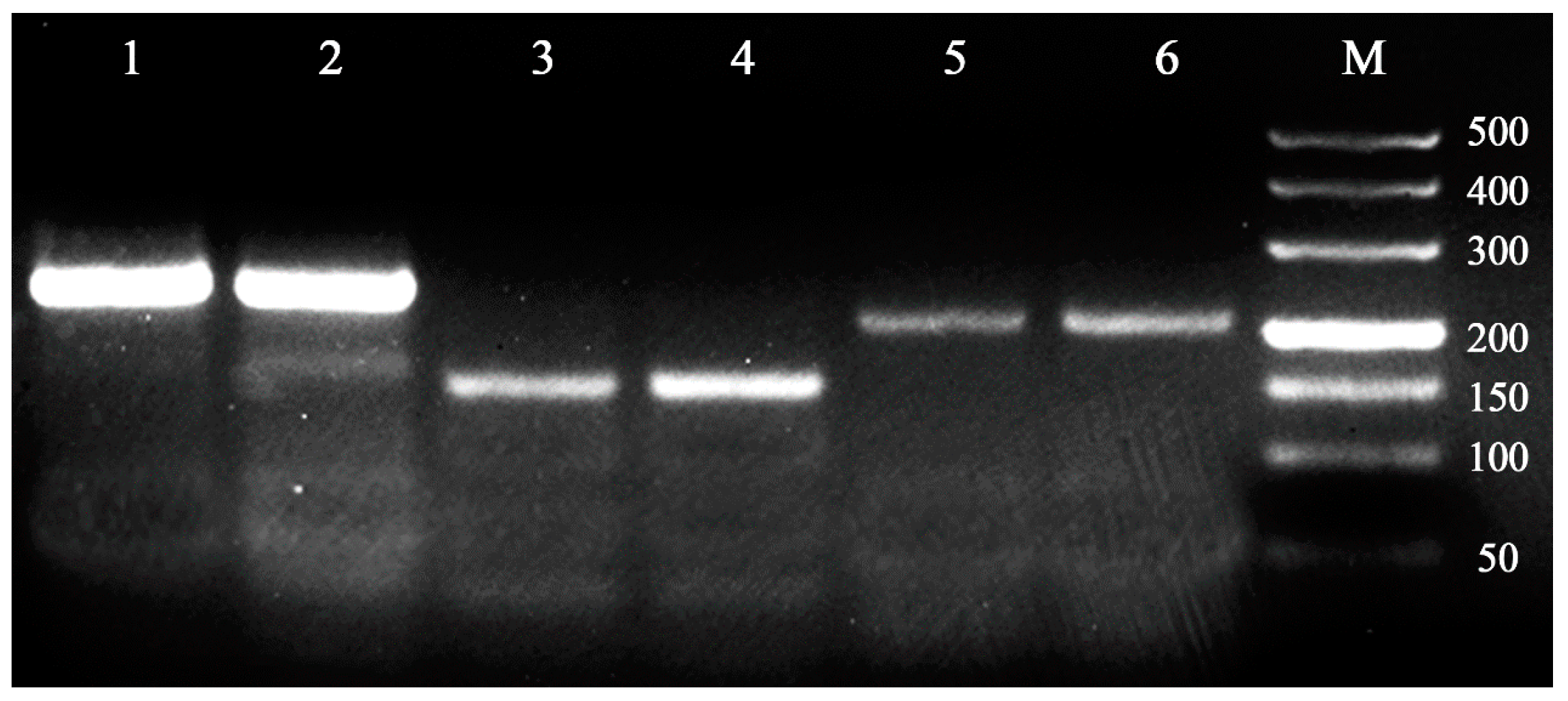 Insects 08 00063 g001