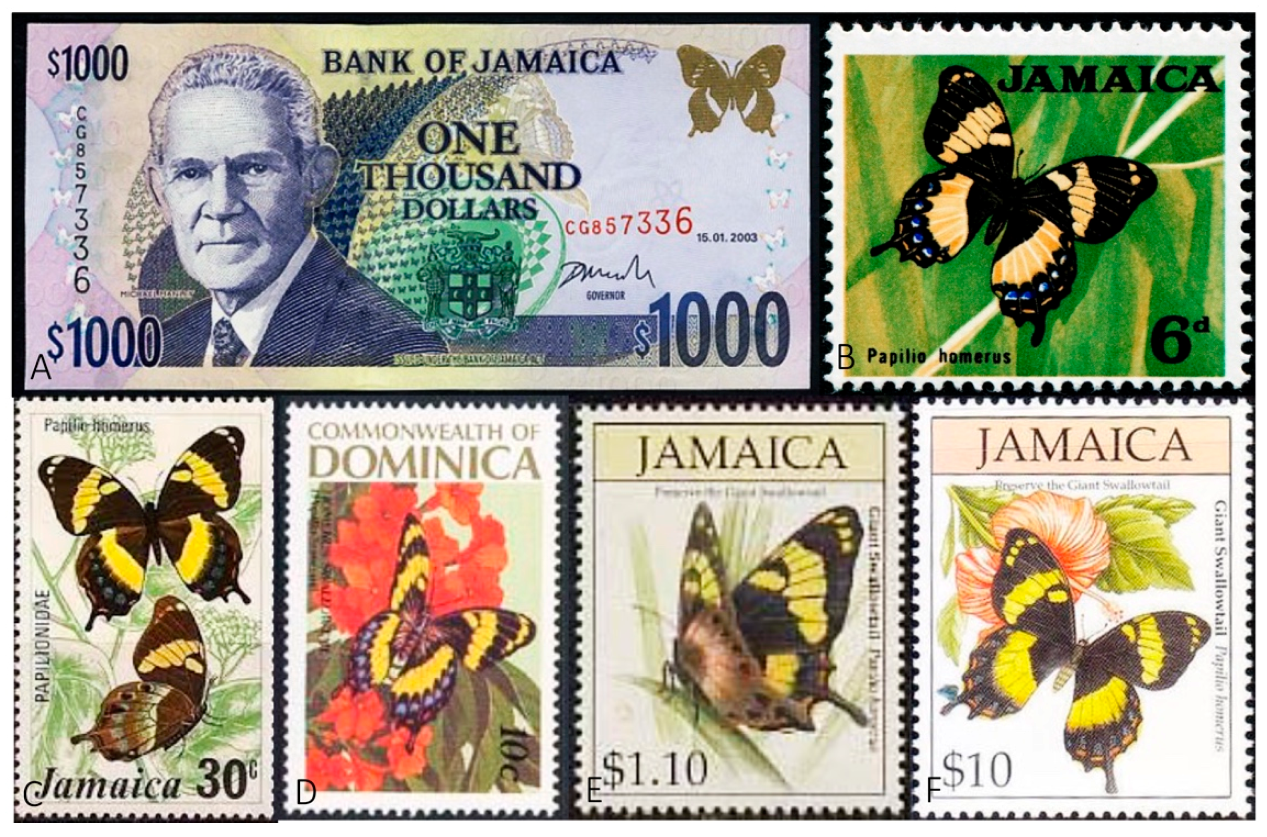 Insects 08 00068 g002