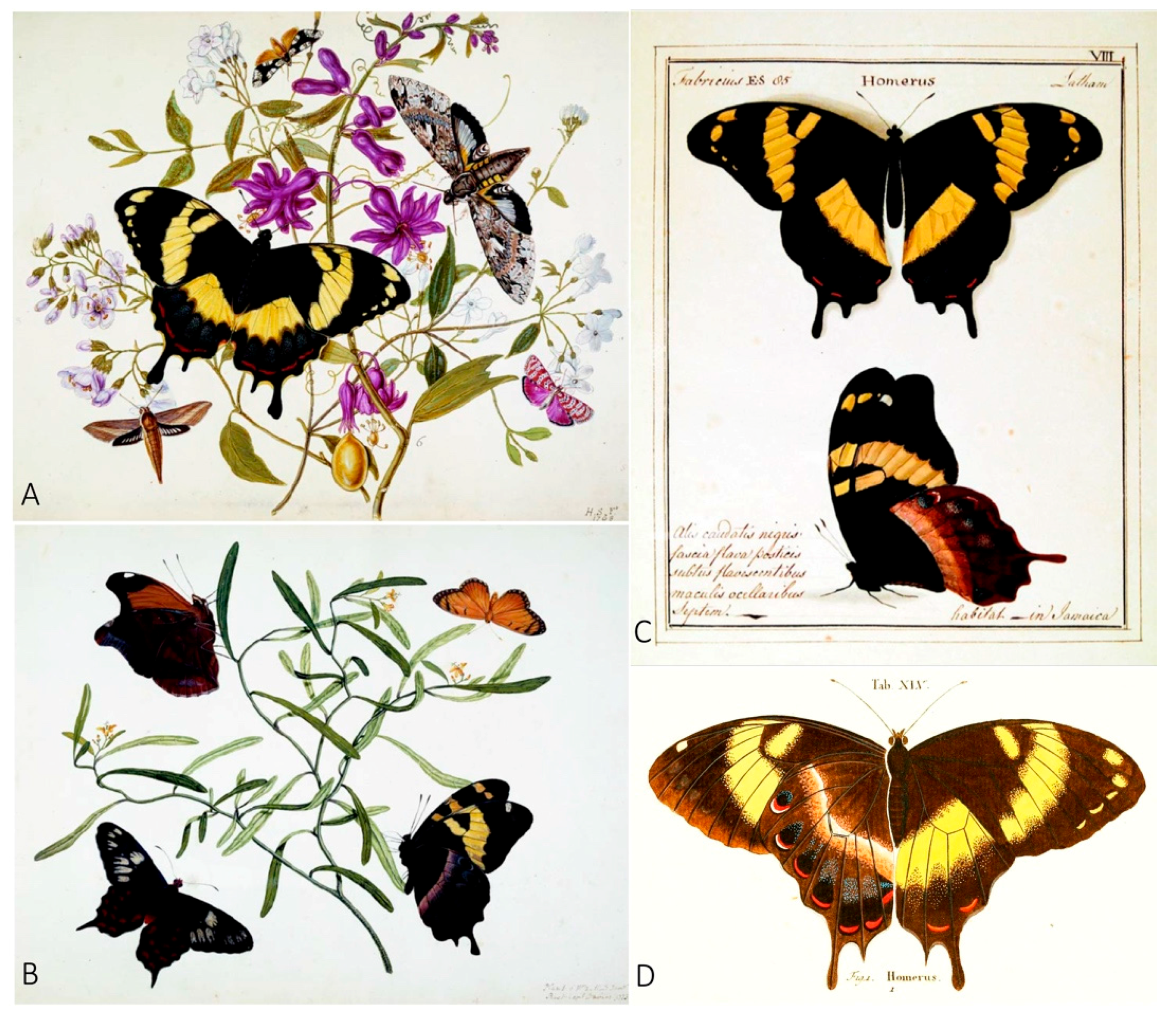 Insects 08 00068 g003