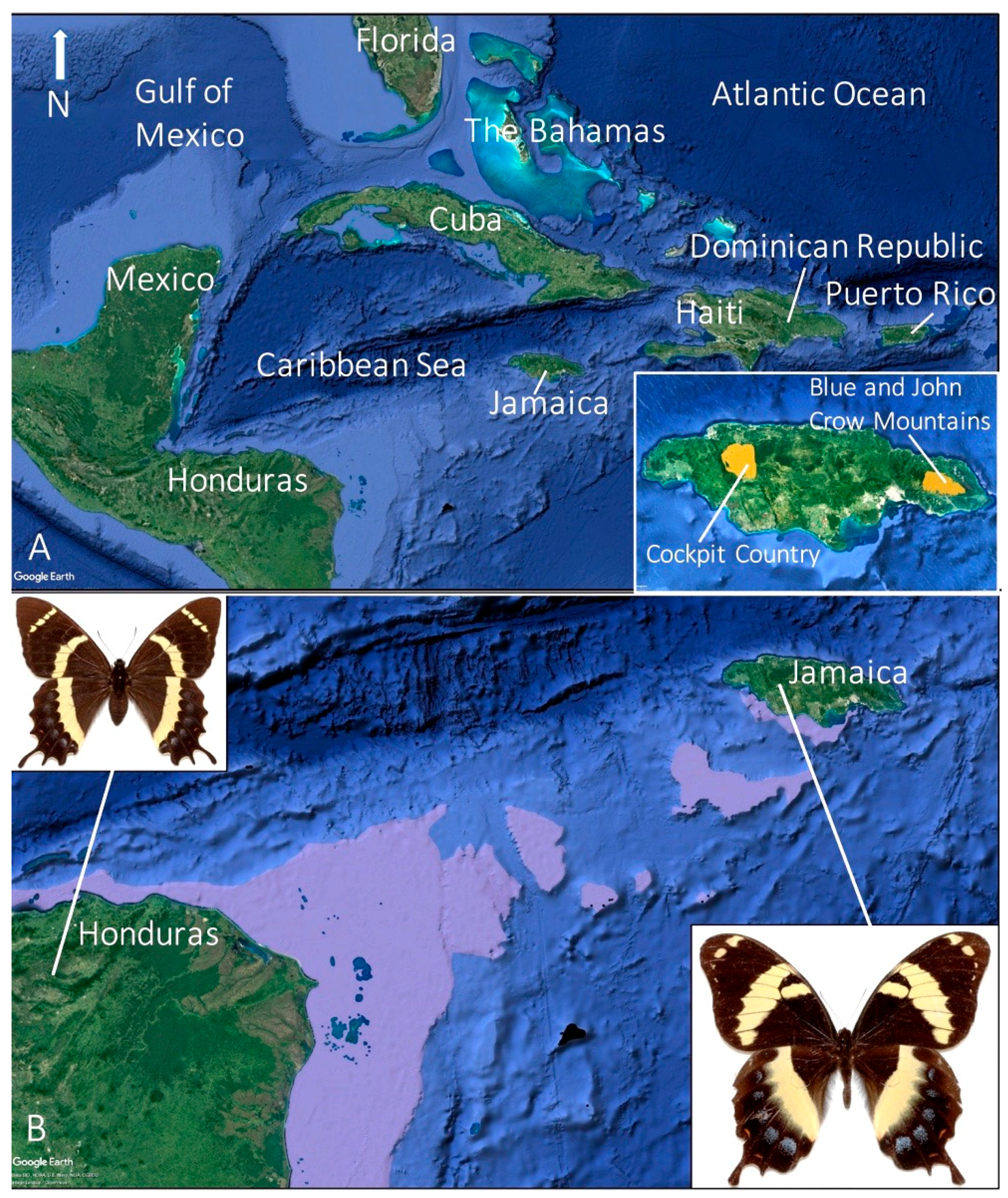 Insects 08 00068 g005