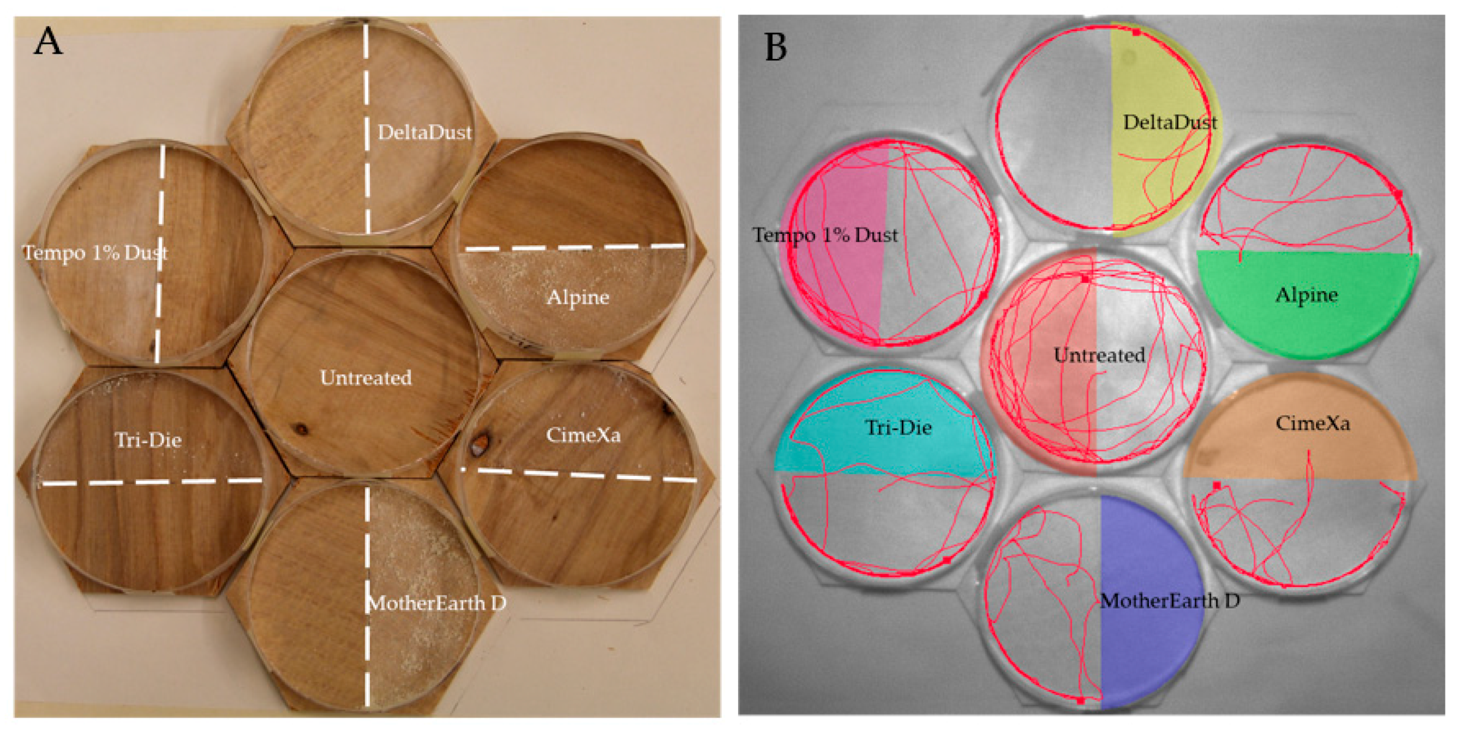 Insects 08 00083 g001