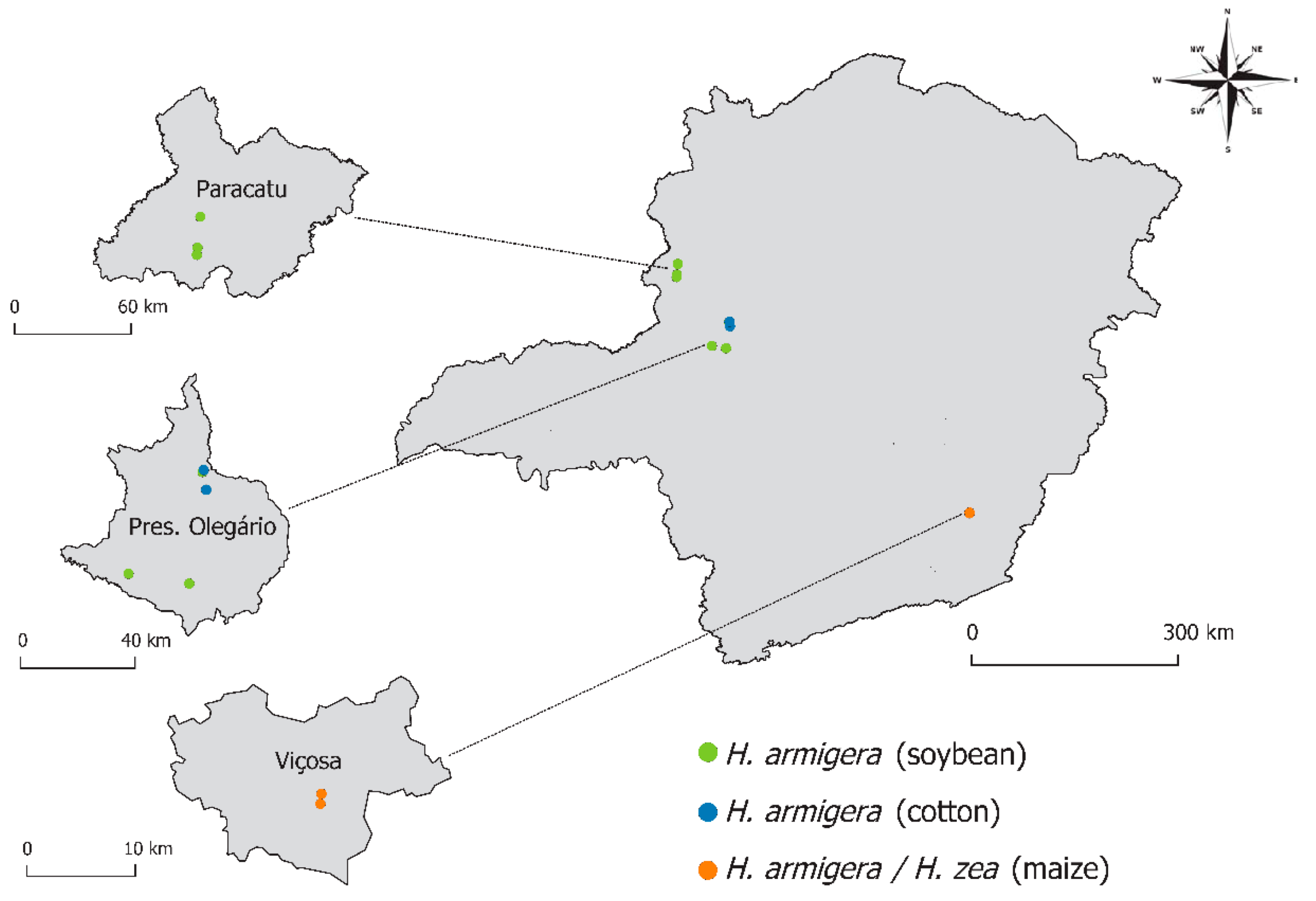 Insects 08 00087 g002