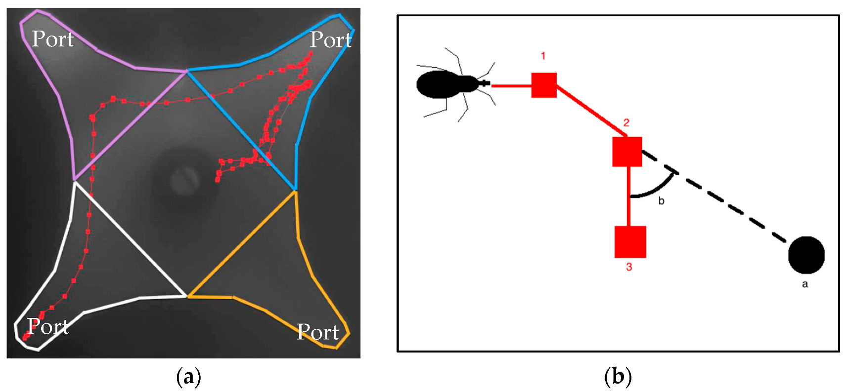 Insects 08 00090 g001