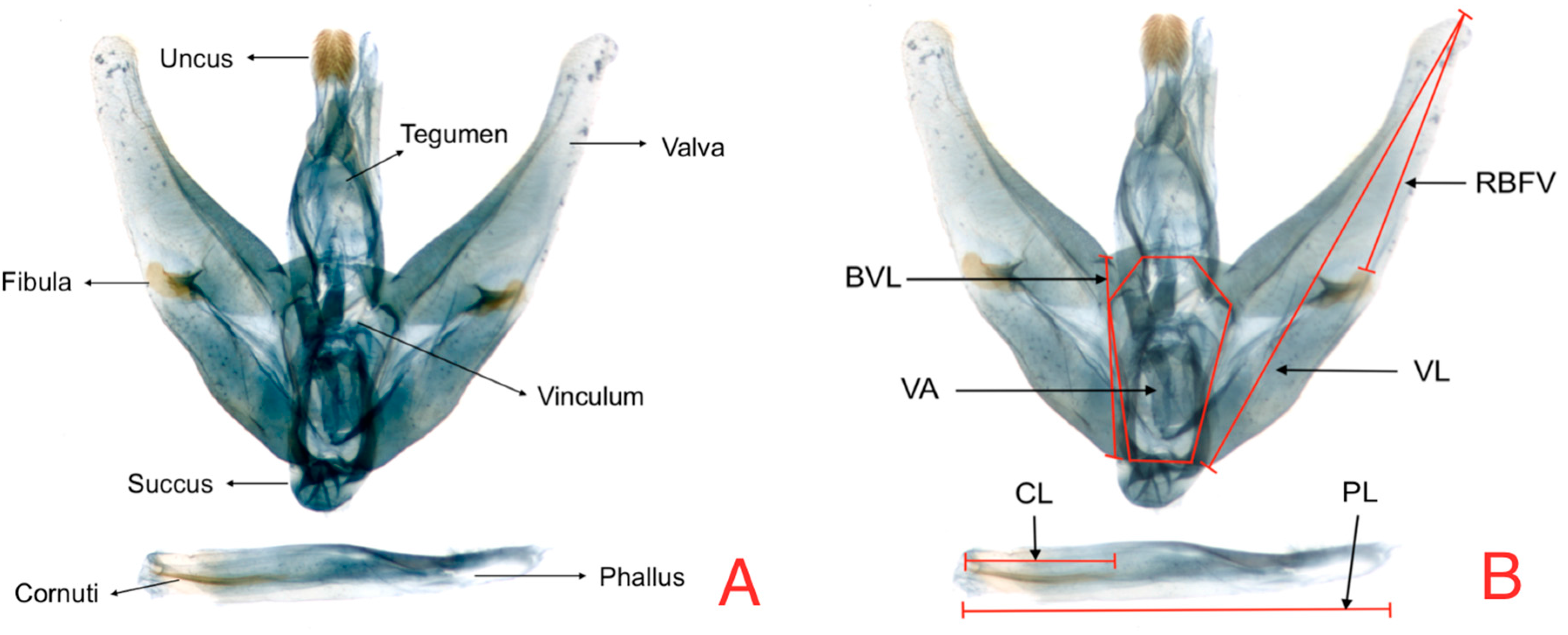 Insects 08 00091 g002