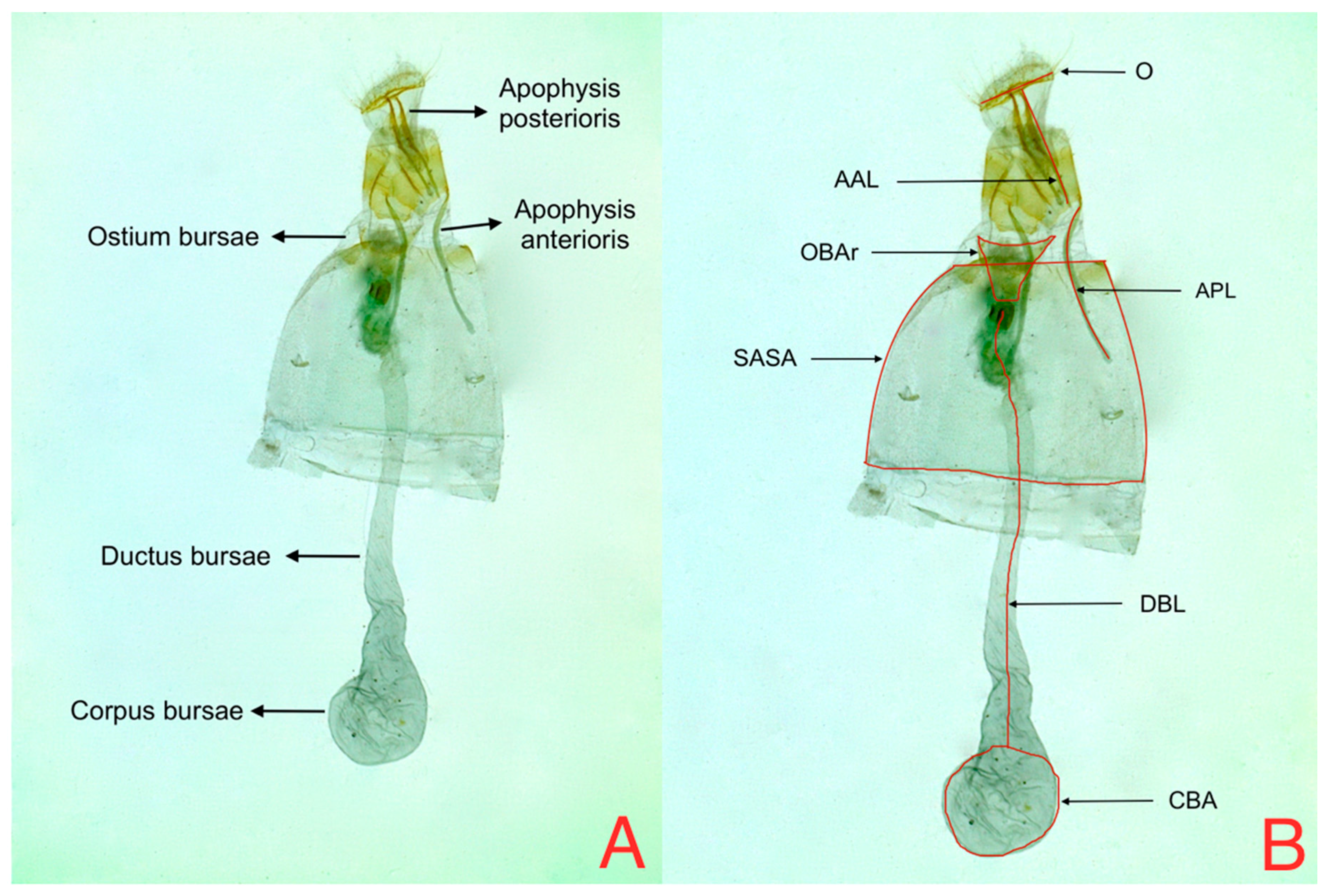 Insects 08 00091 g003