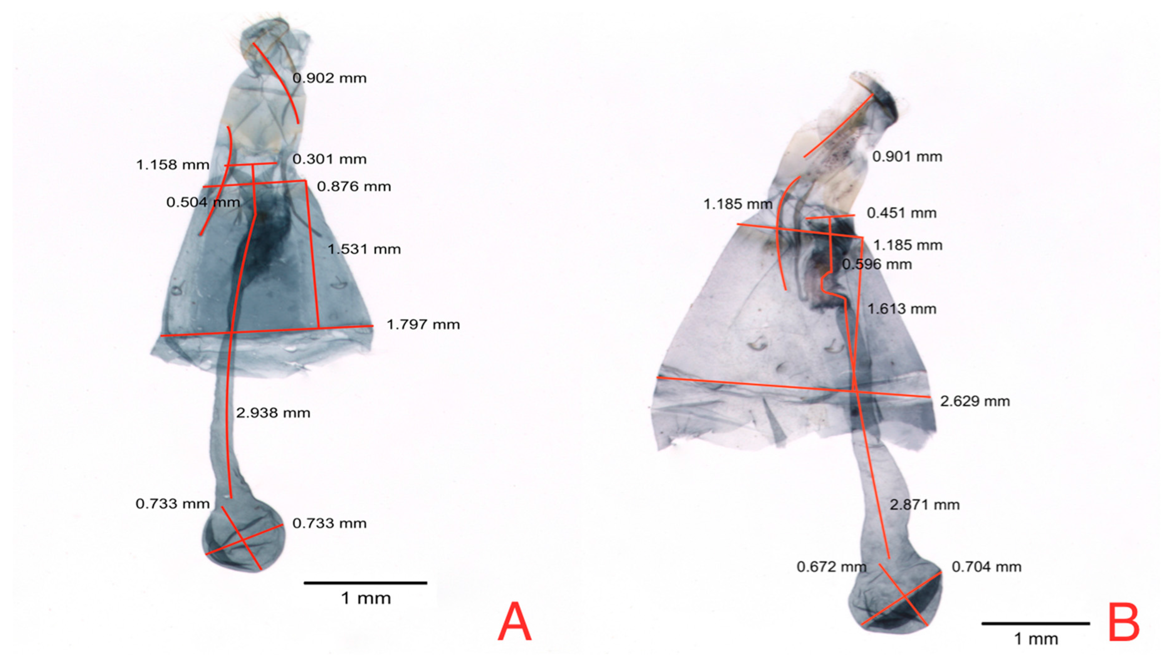 Insects 08 00091 g005