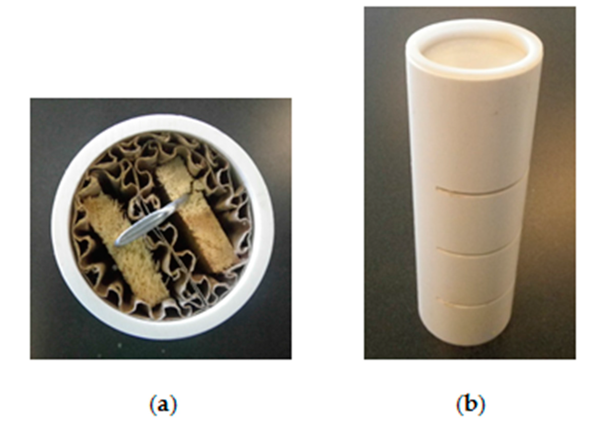 Insects 08 00092 g001