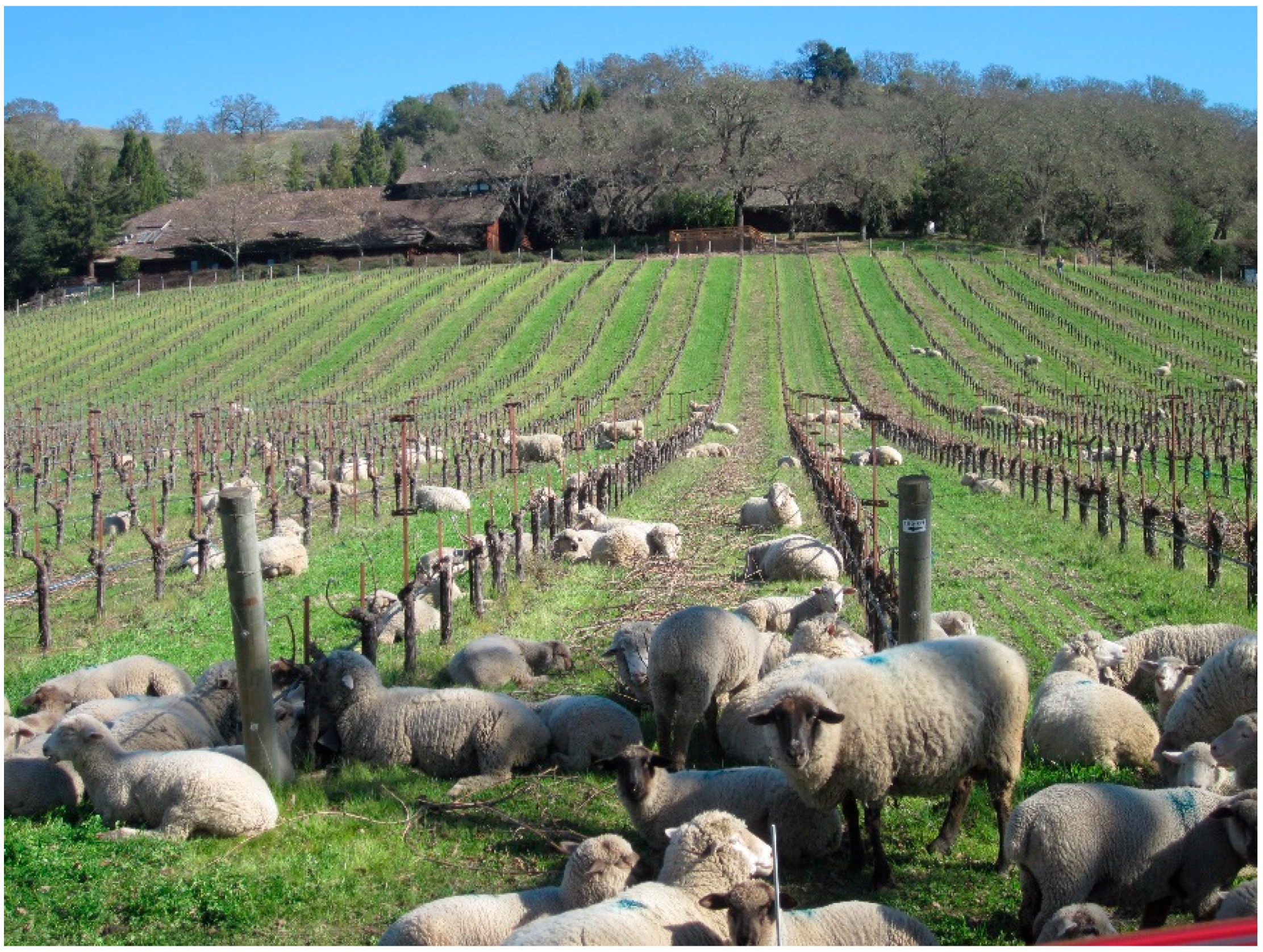 Insects 08 00108 g002