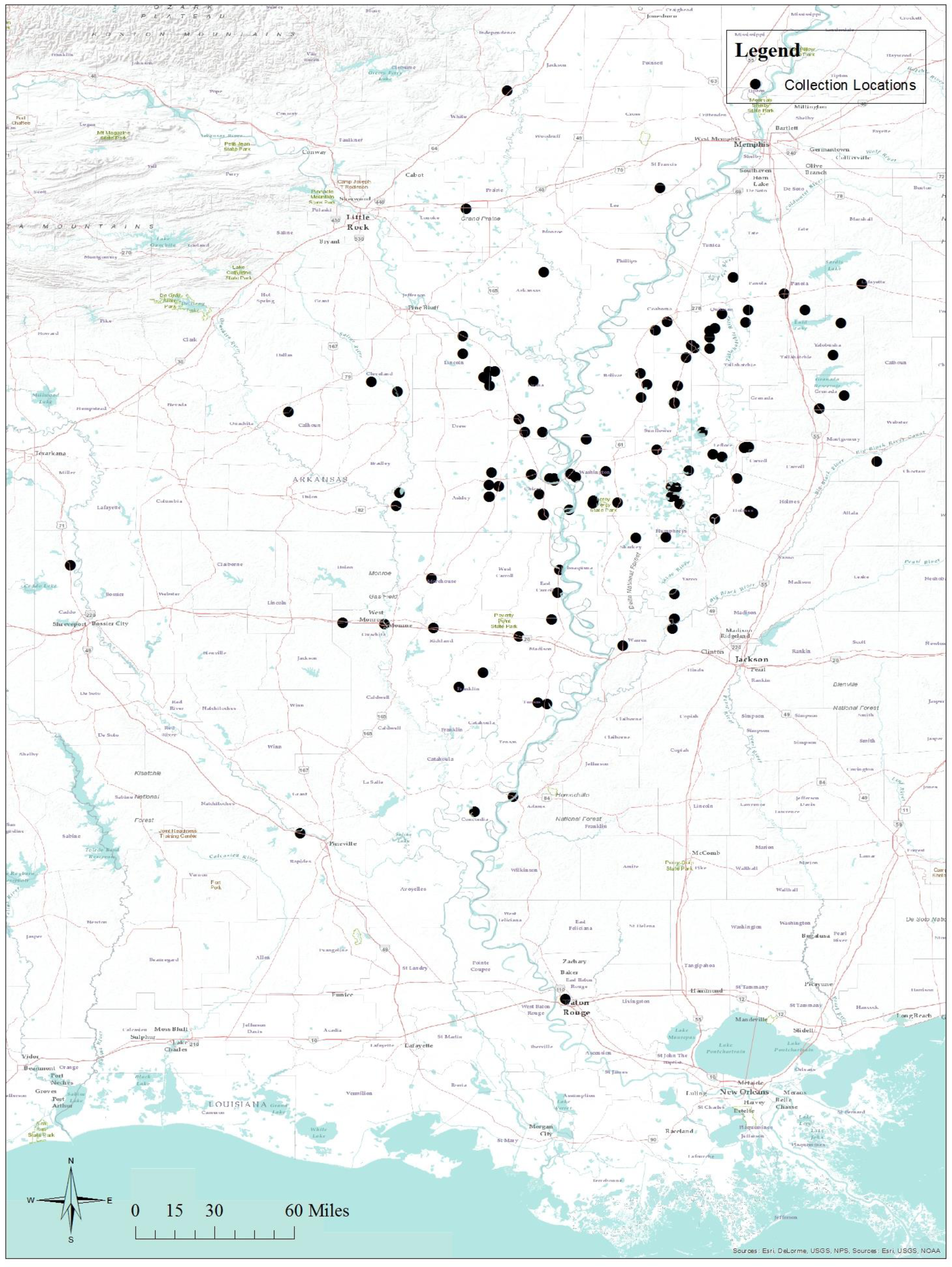 Insects 08 00109 g001