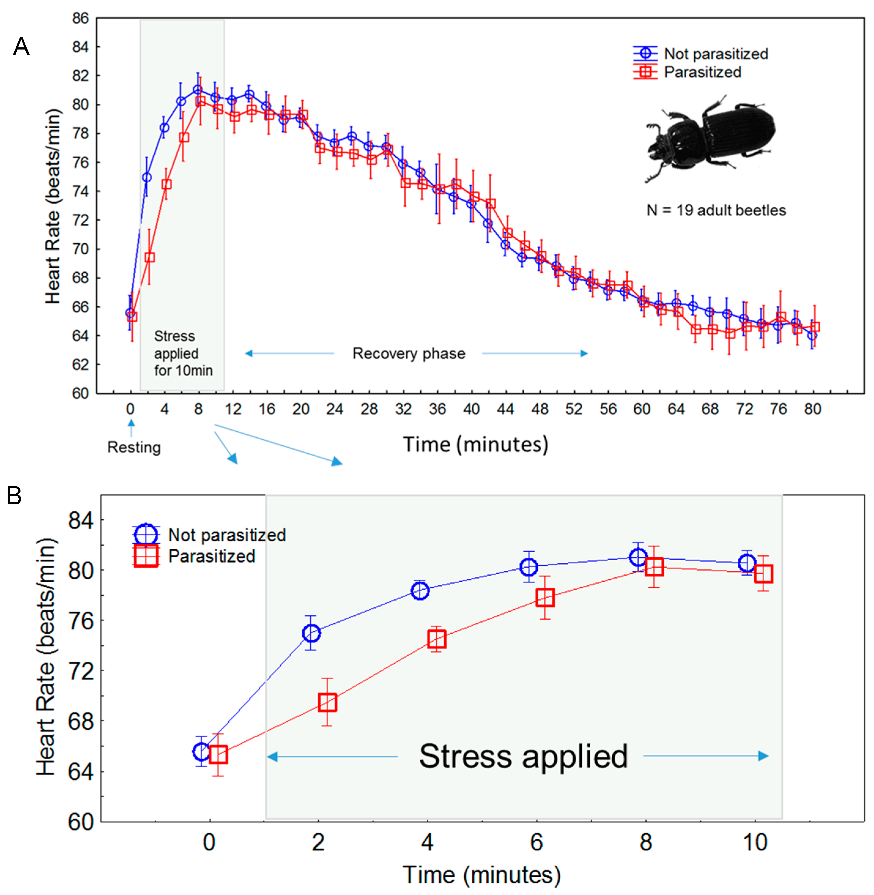 Insects 08 00110 g003