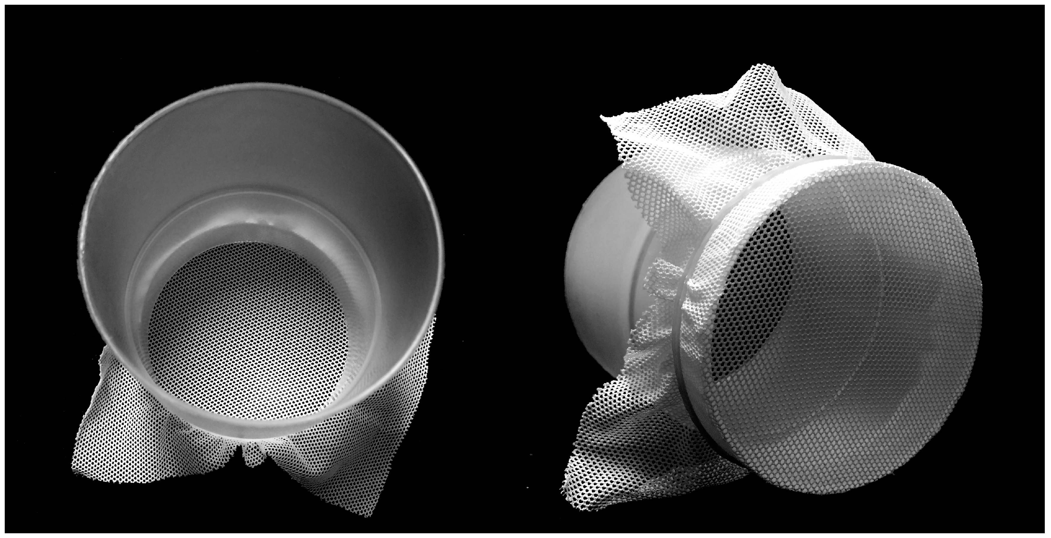 Insects 08 00111 g001