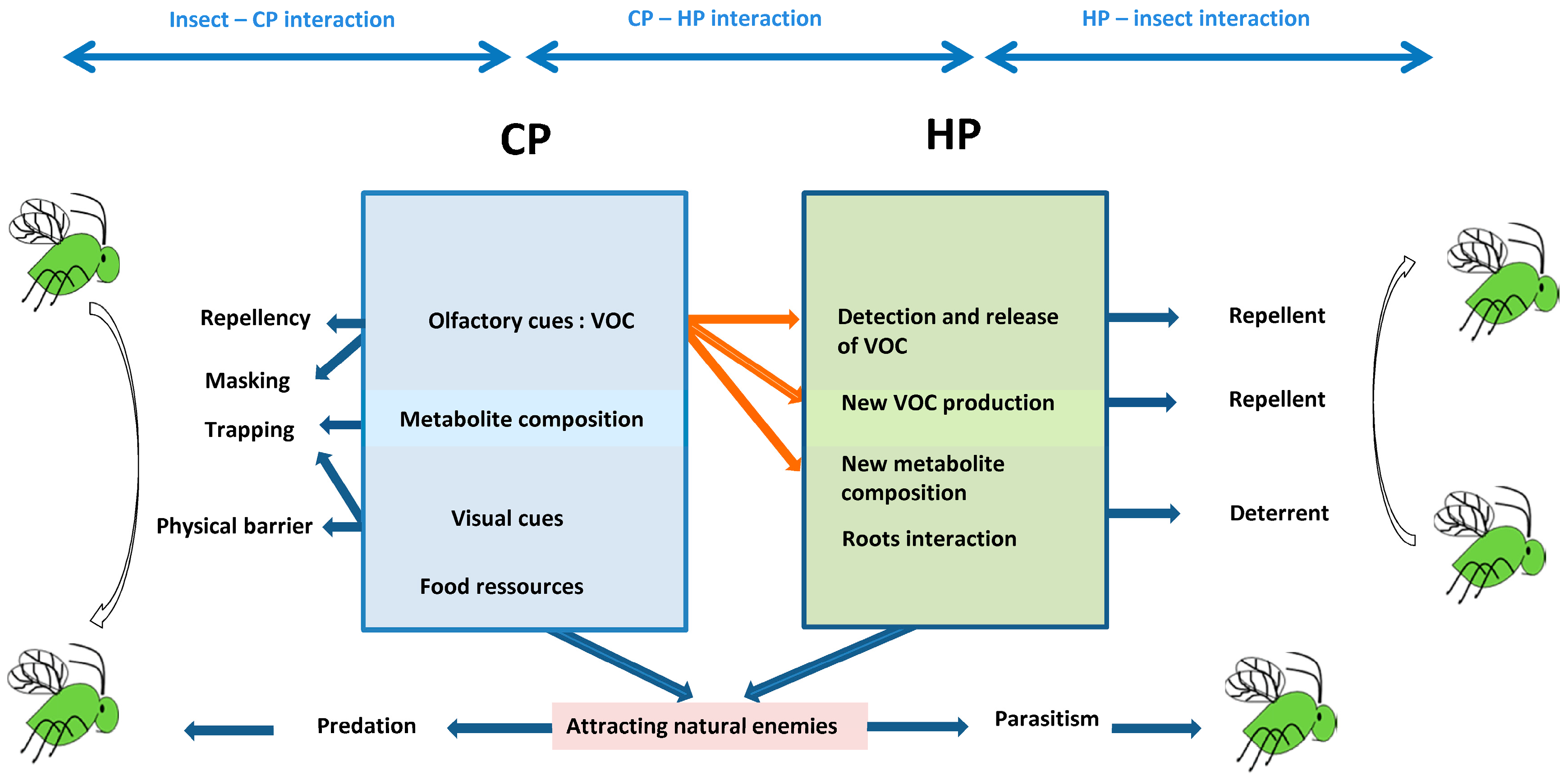 Insects 08 00112 g001