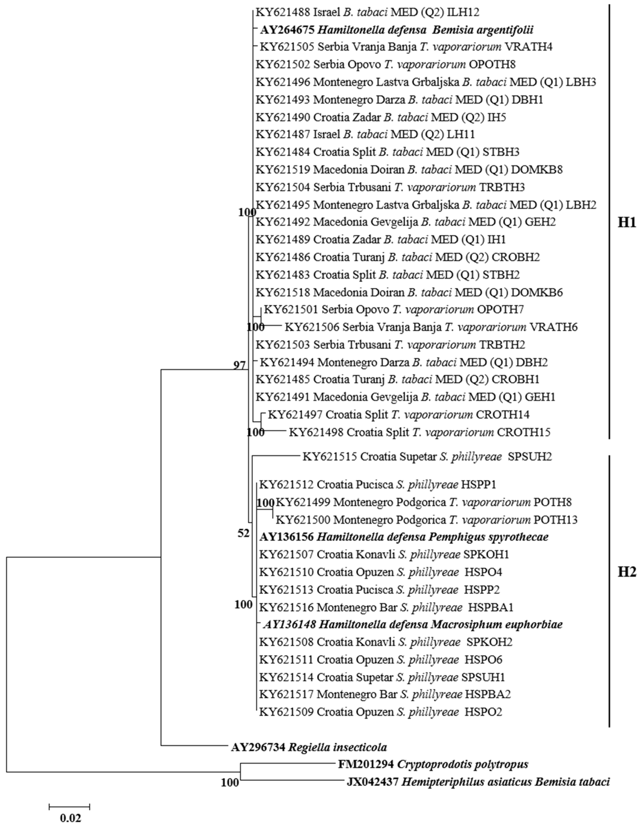 Insects 08 00113 g003