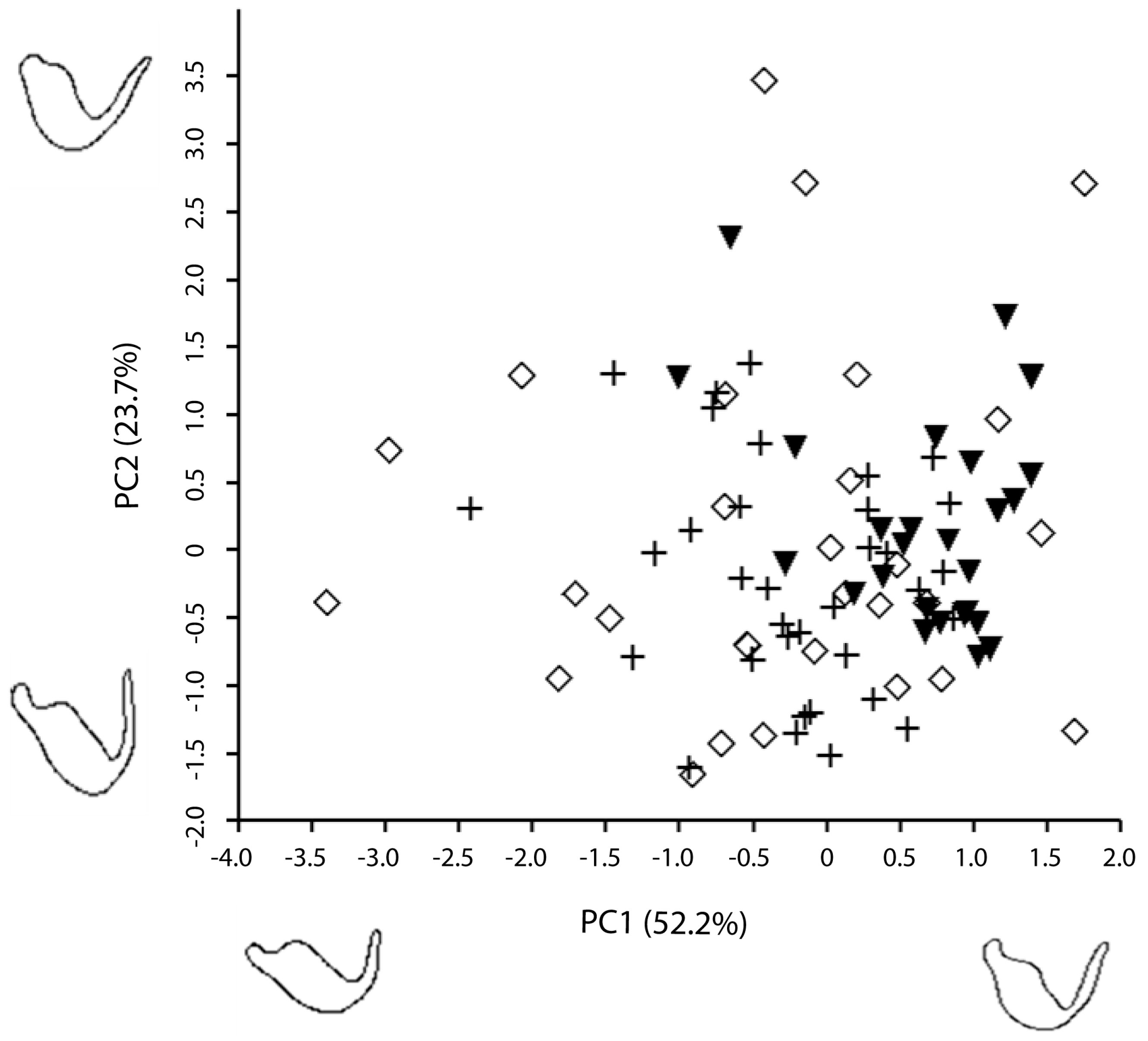 Insects 08 00120 g004
