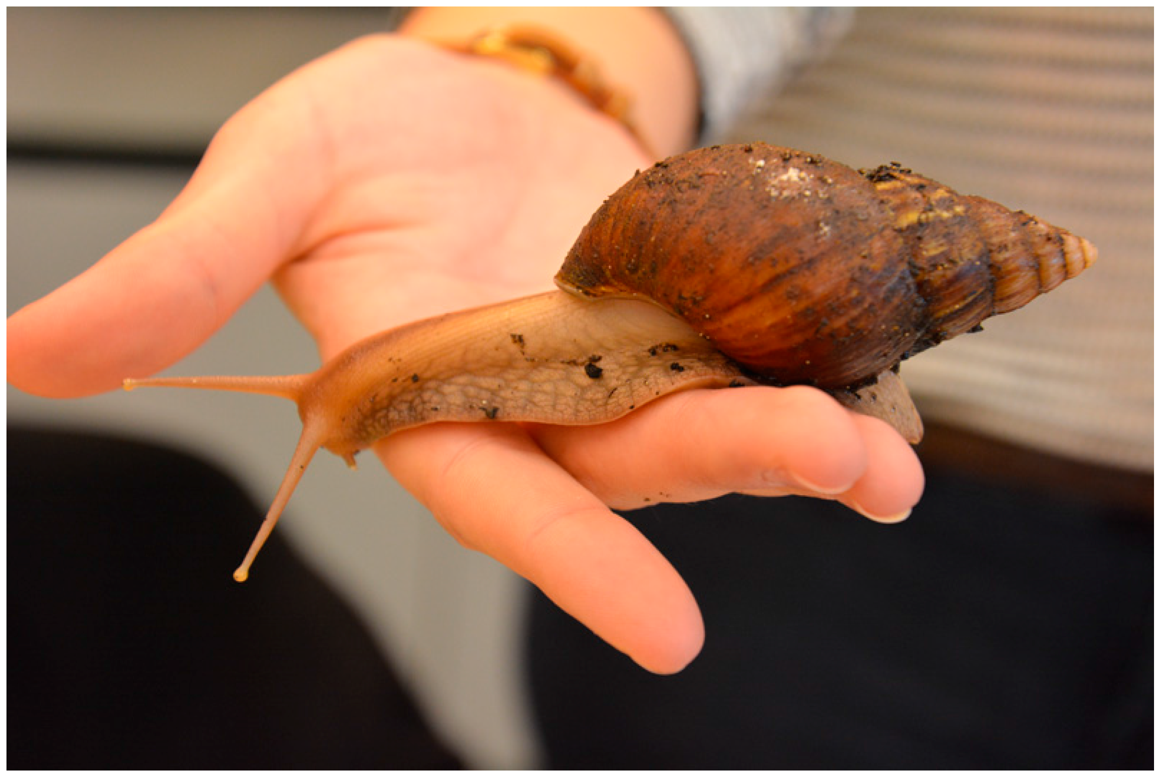 Insects 09 00003 g003