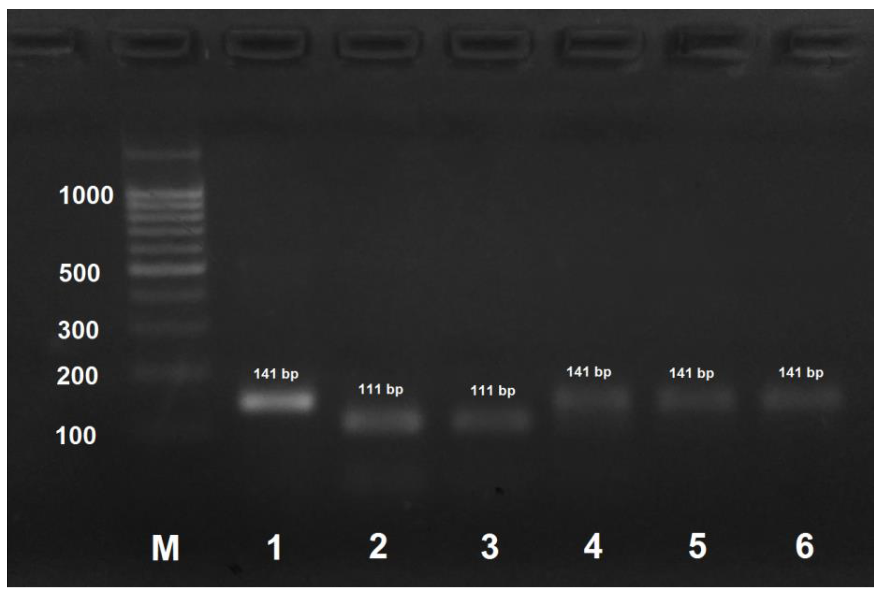 Insects 09 00010 g002