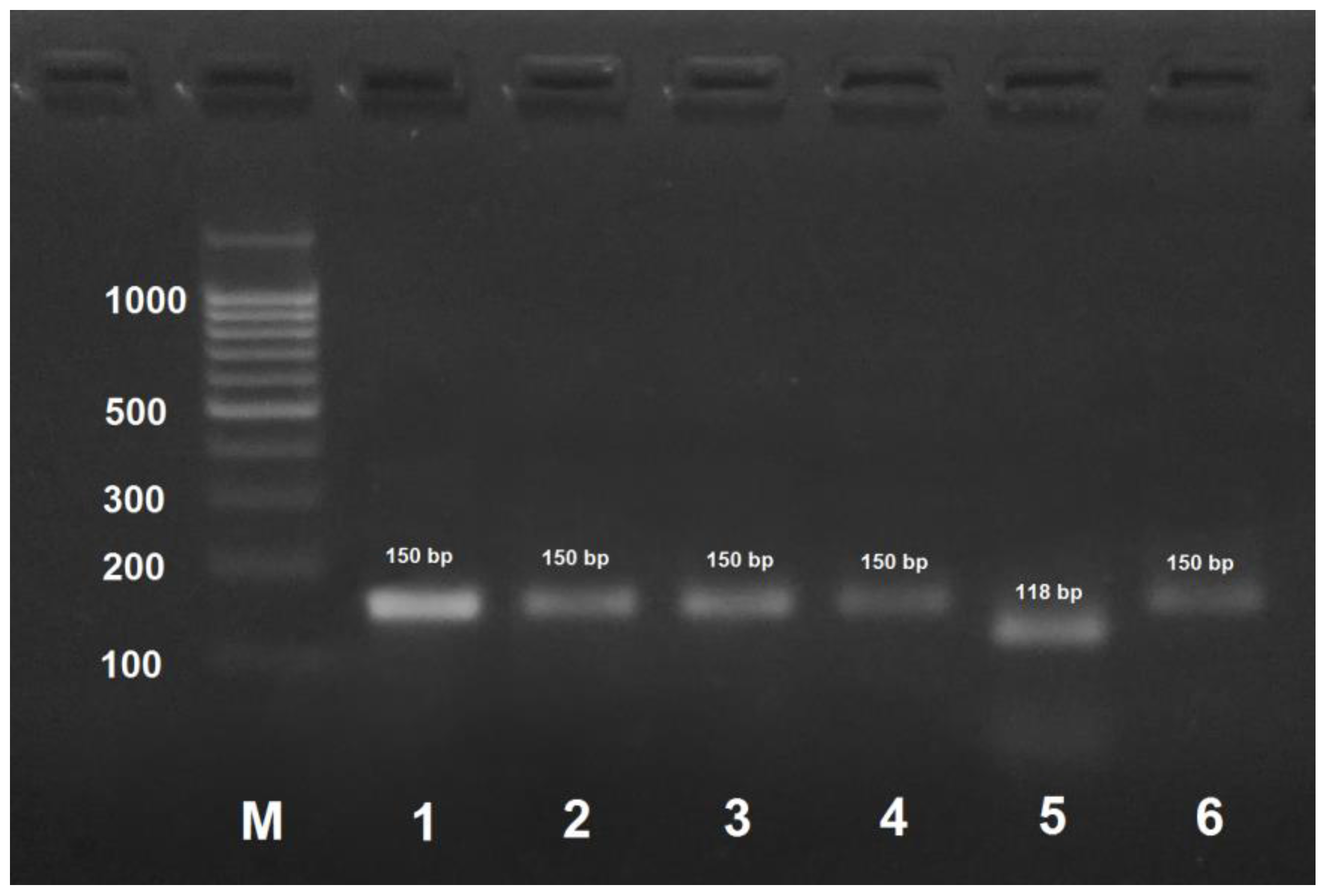 Insects 09 00010 g005