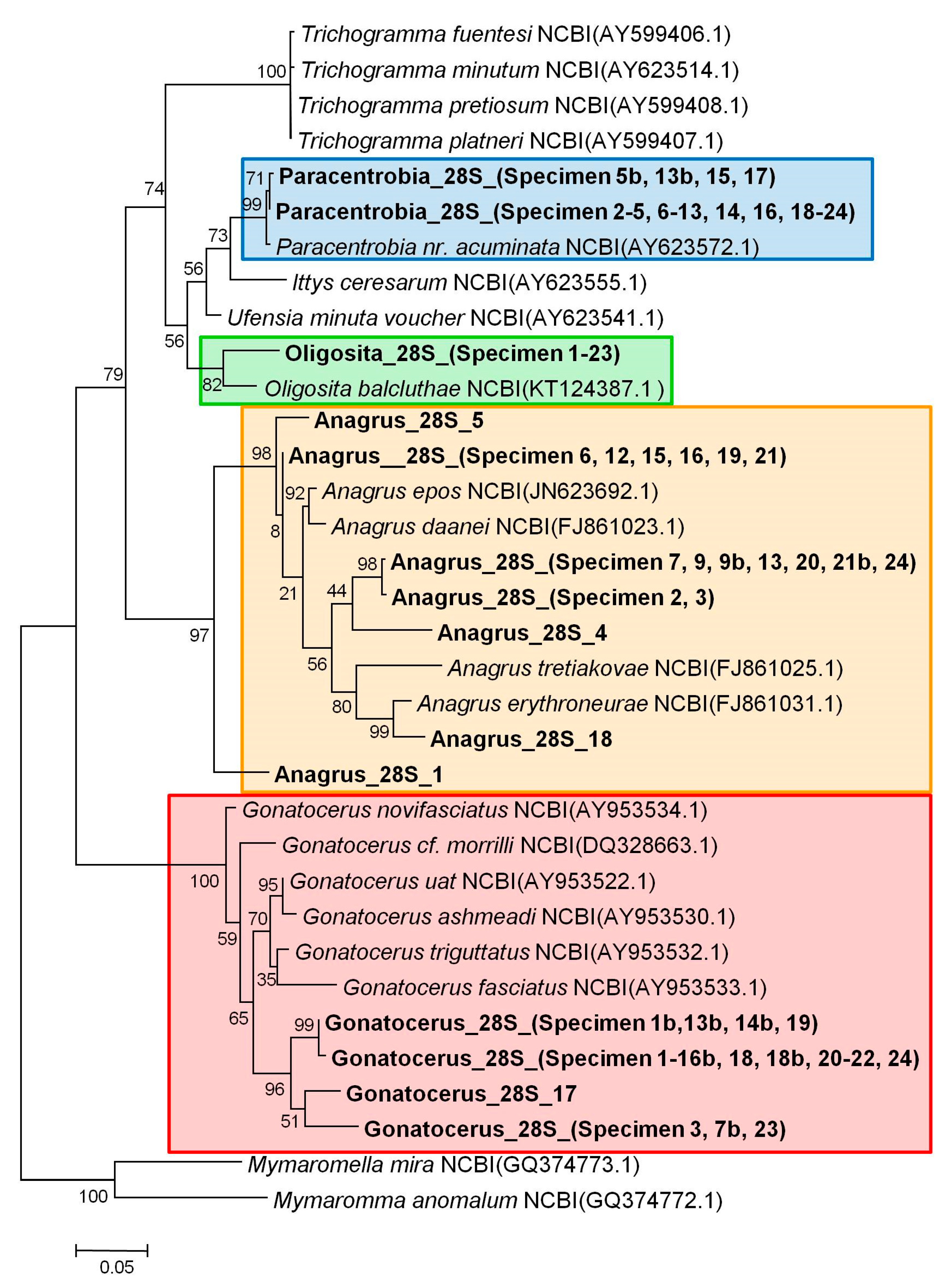 Insects 09 00019 g001