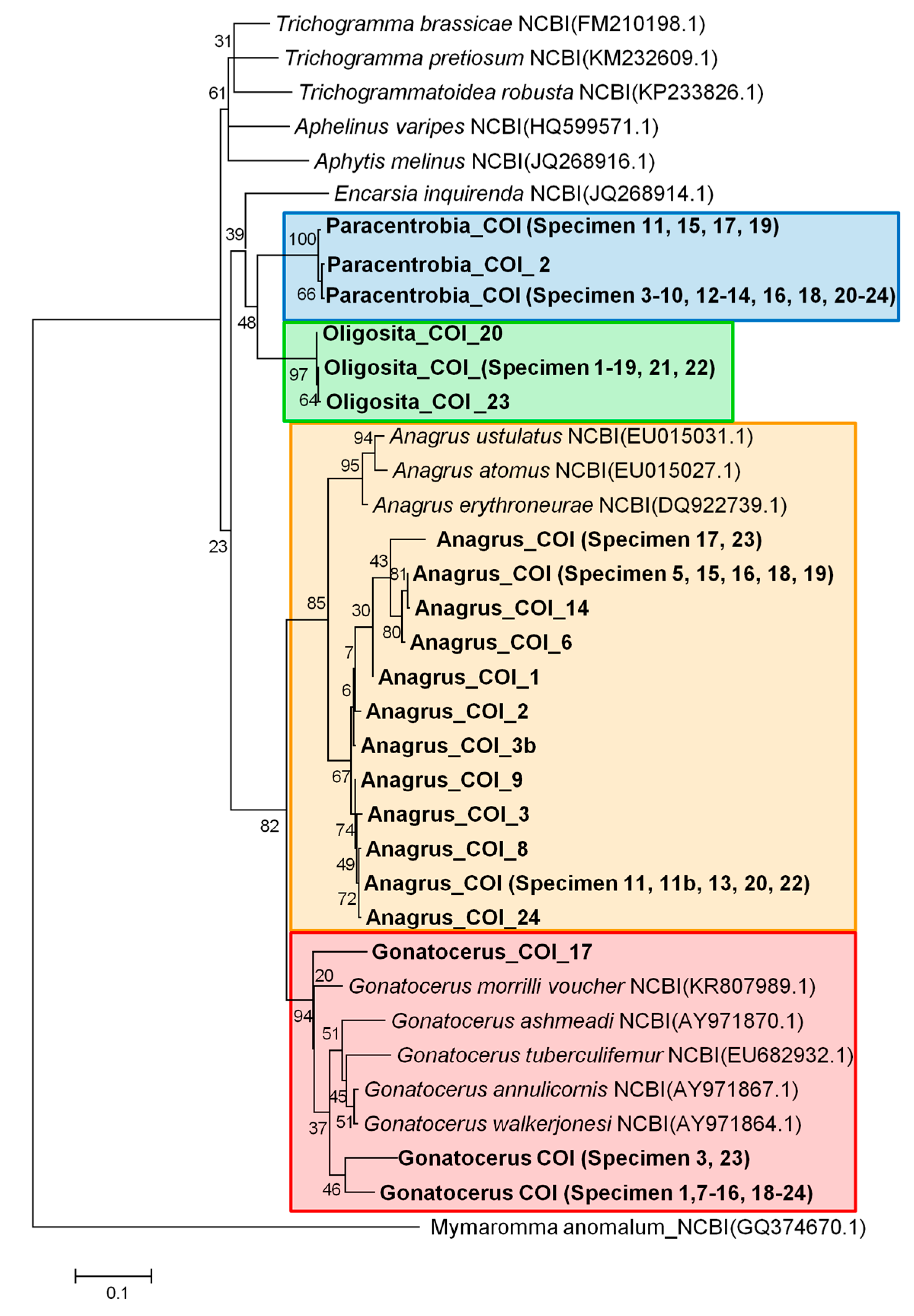 Insects 09 00019 g002