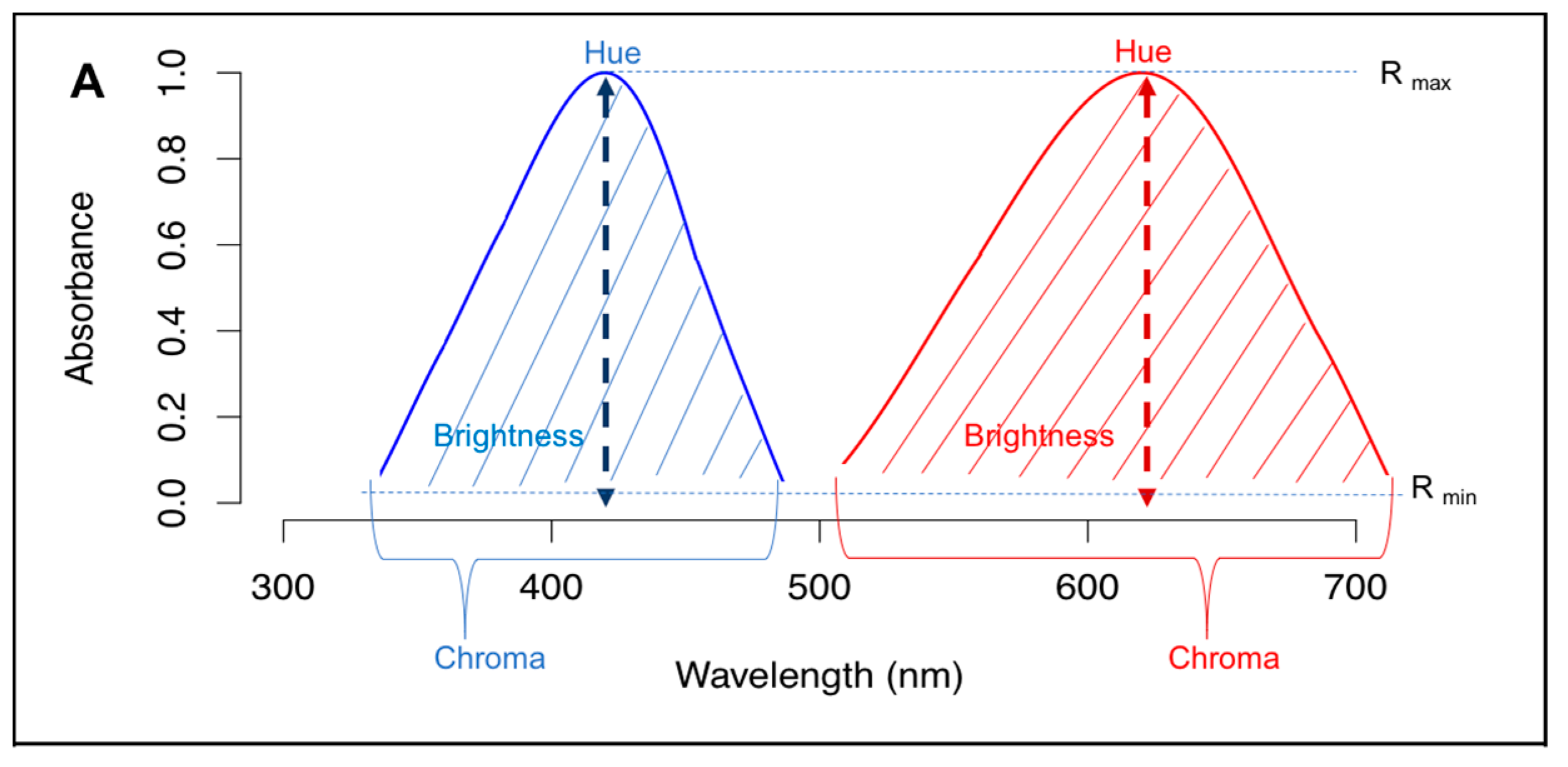 Insects 09 00022 g001a