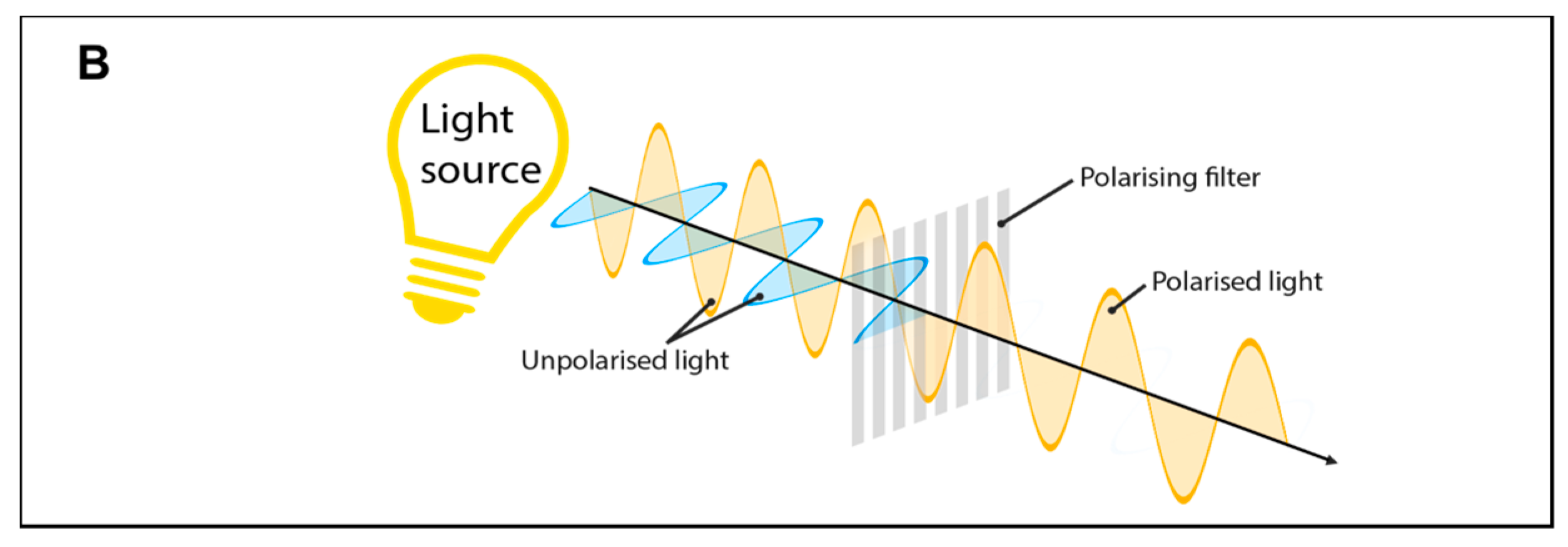Insects 09 00022 g001b