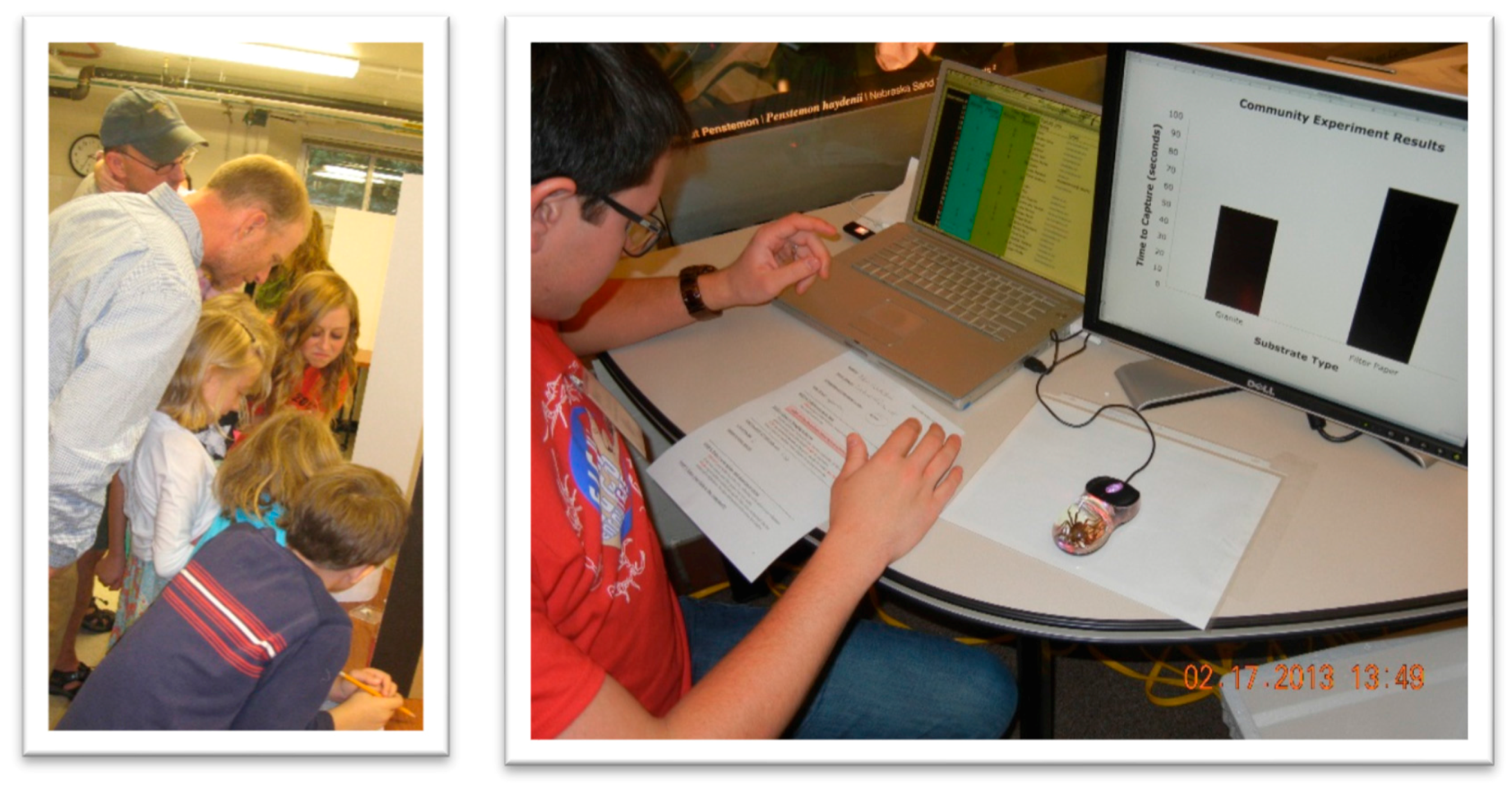 Insects 09 00027 g004