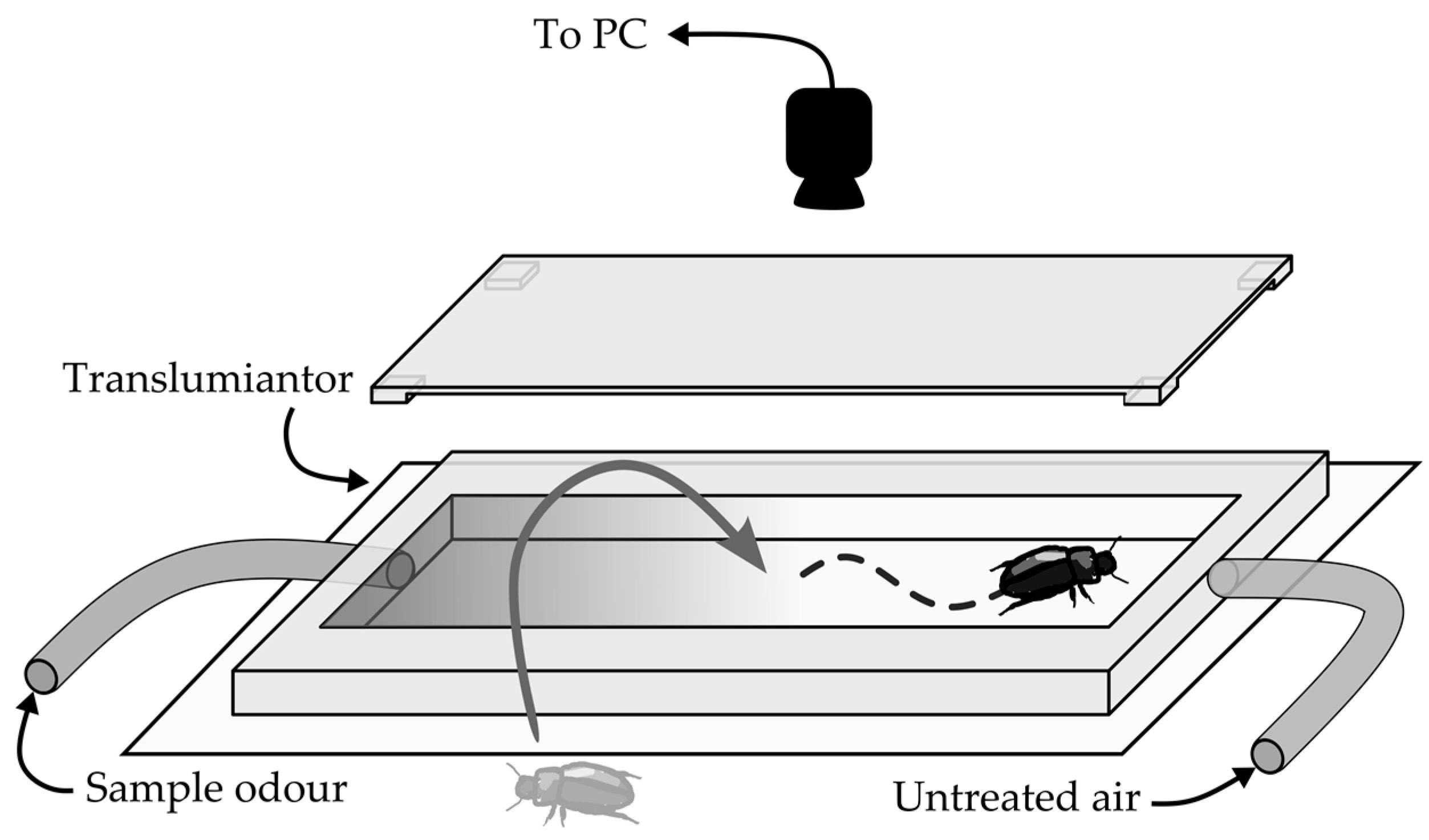 Insects 09 00035 g001