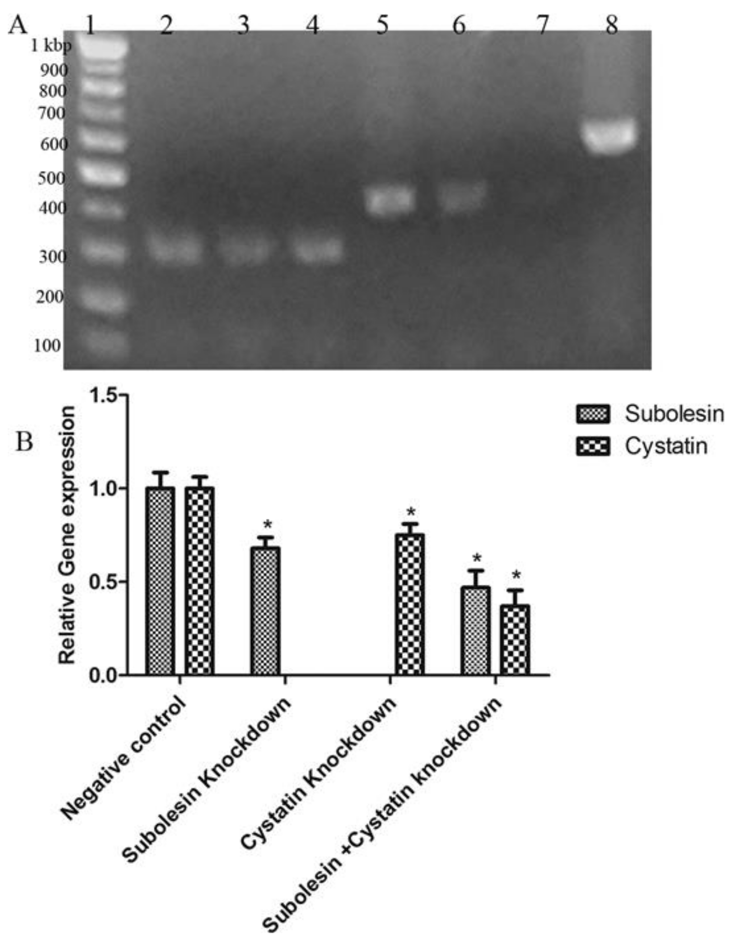Insects 09 00039 g002