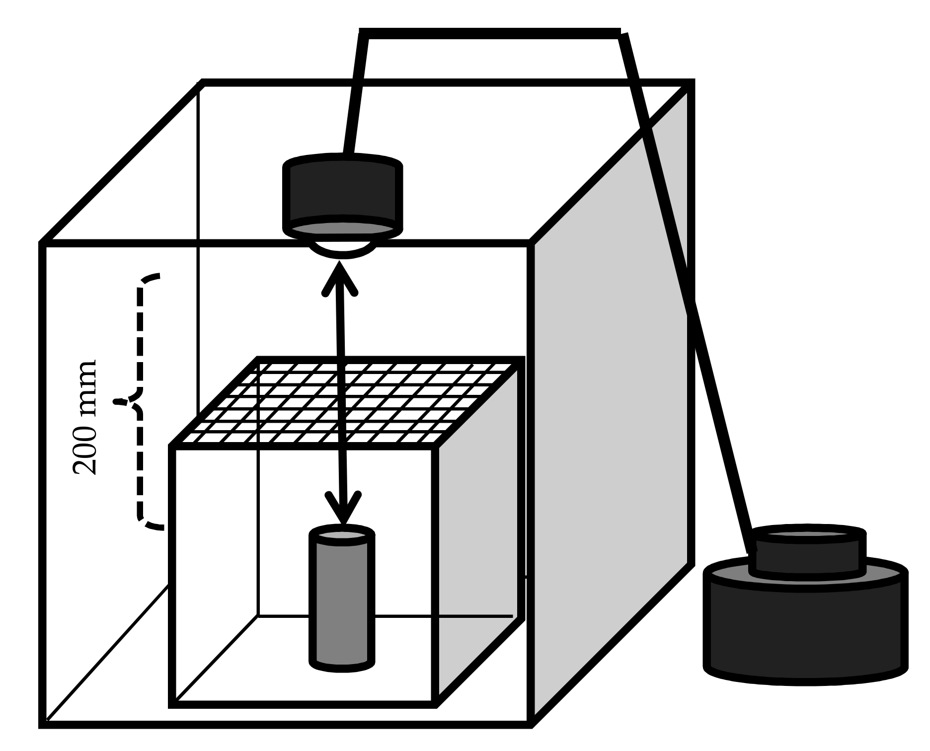 Insects 09 00048 g002