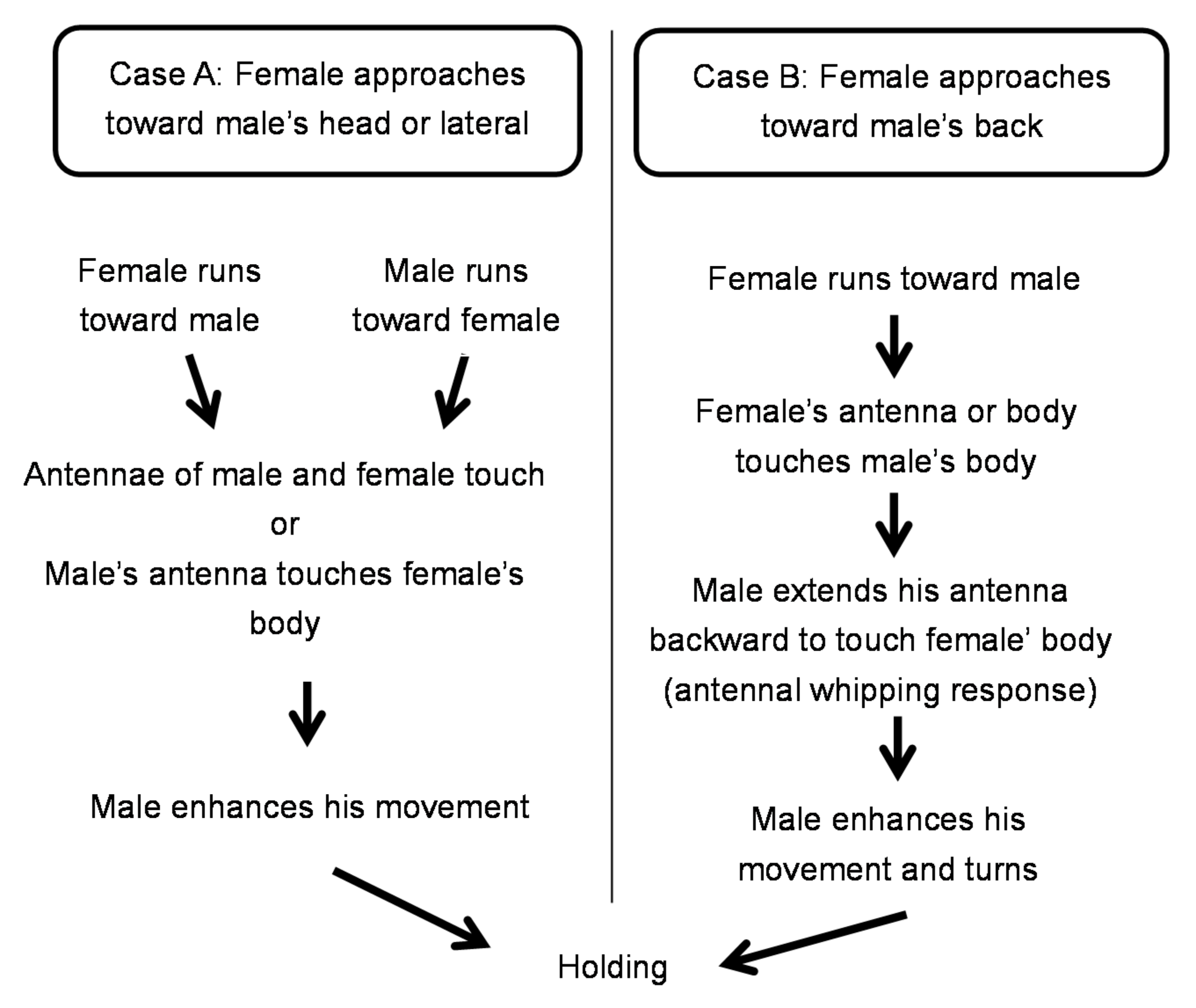 Insects 09 00048 g007