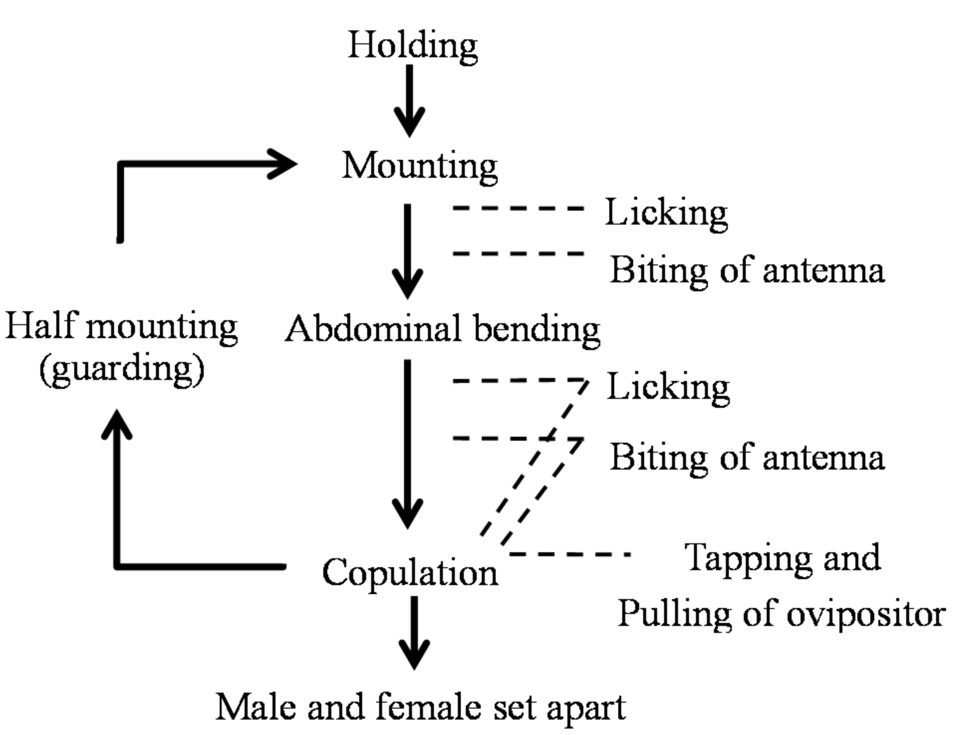 Insects 09 00048 g008